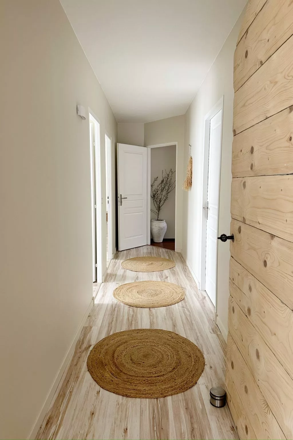 Tarabucetta - Dedans