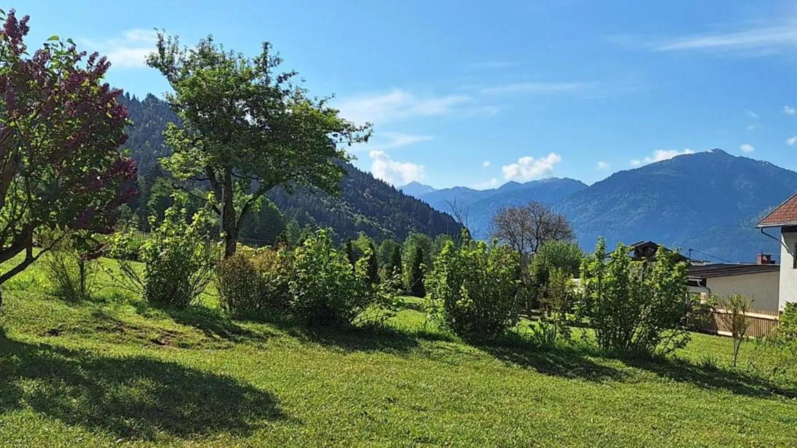 Jukbichl 2 - Gardens in summer