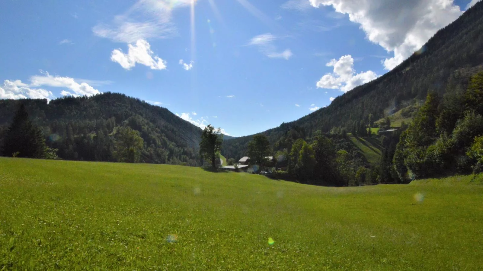 Bienenheim-View summer