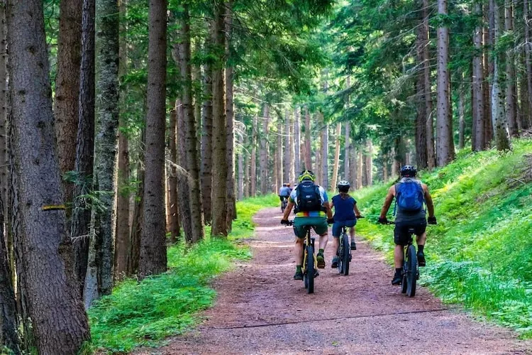 Dom wakacyjny bliźniak Wdzydze 2 - Zones été à 1 km