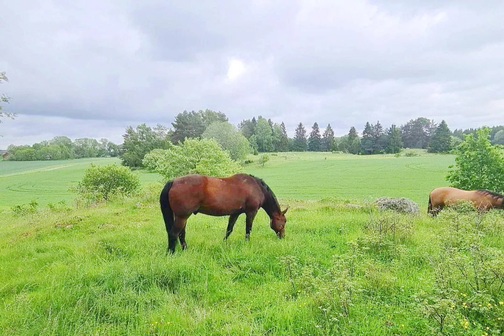 4 Sterne Ferienhaus in UPPSALA