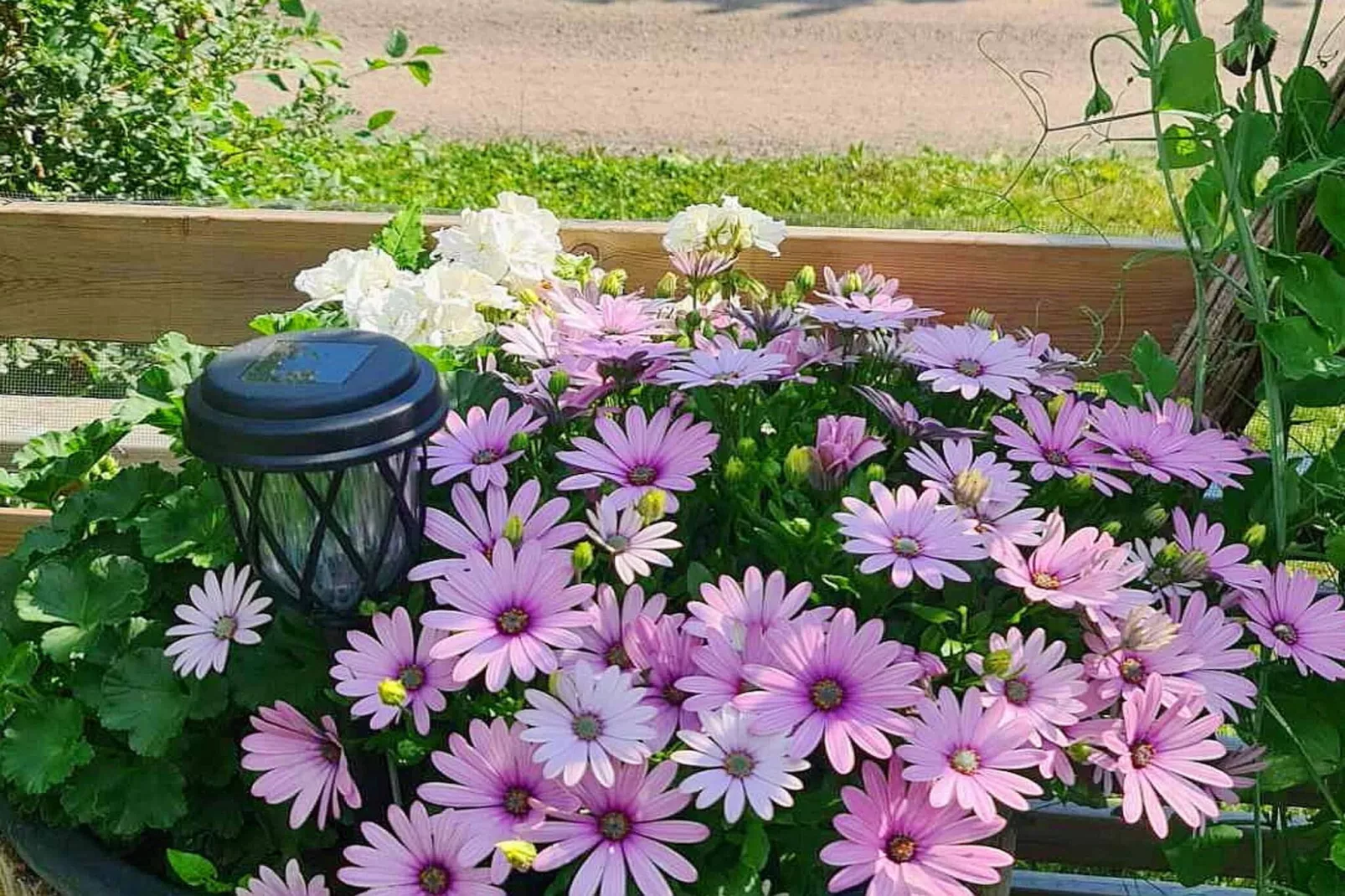 4 Sterne Ferienhaus in UPPSALA - Im Freien