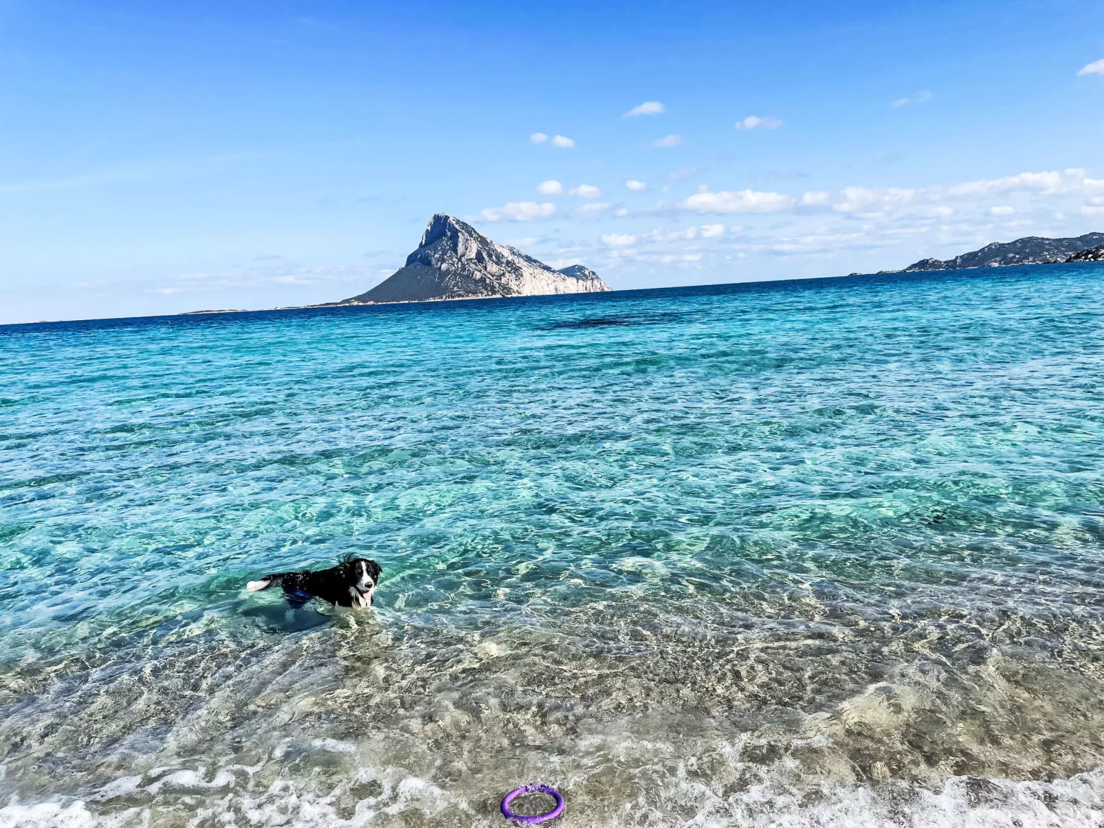 La Casetta Di Legno Nel Bosco - Draußen
