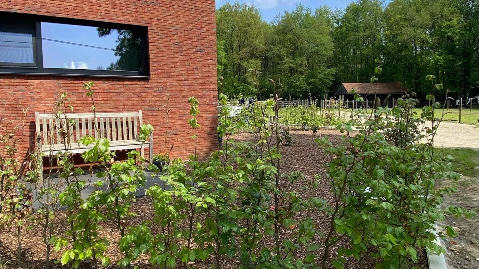 Huus 16 - Außenbereich Sommer