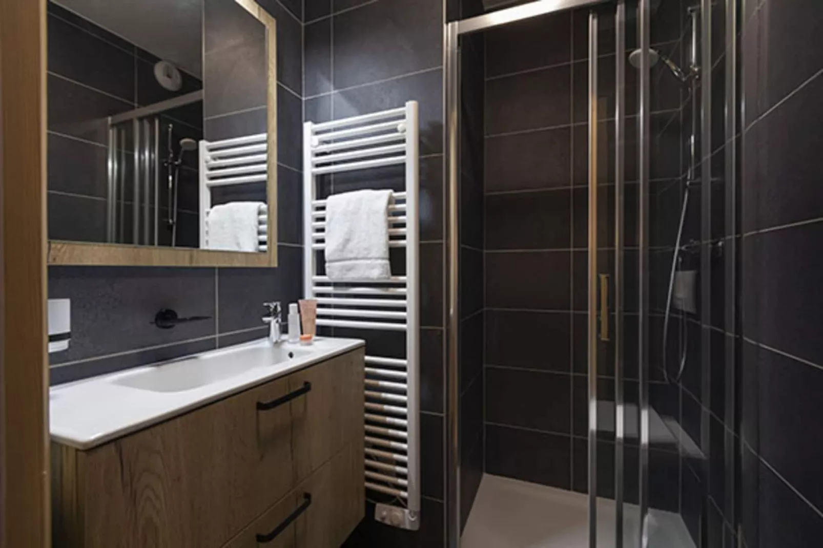 LES DEUX ALPES Neige et Soleil -A38P - Badezimmer