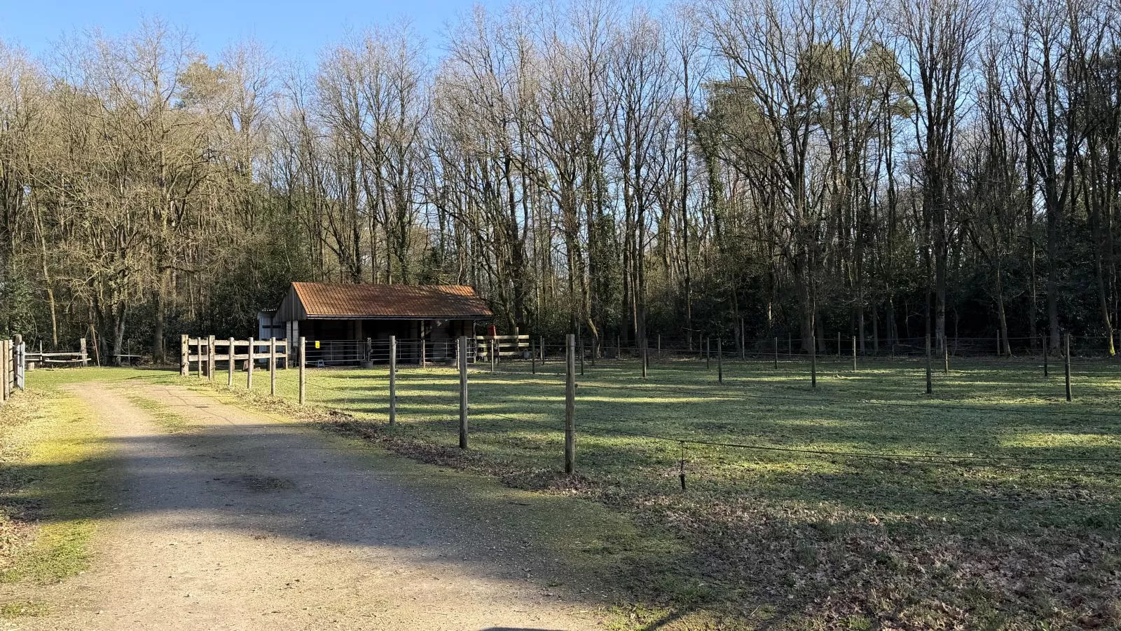 Huus 16 - Garten Sommer