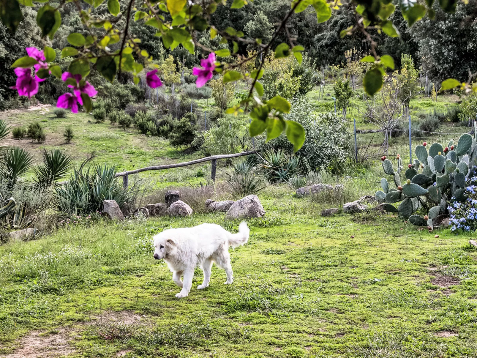 La Casetta Di Legno Nel Bosco - Drinnen