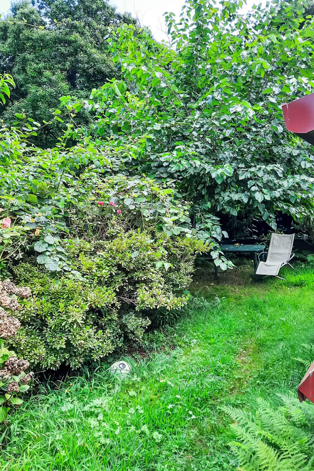 Brezzo di Bedero - Draußen