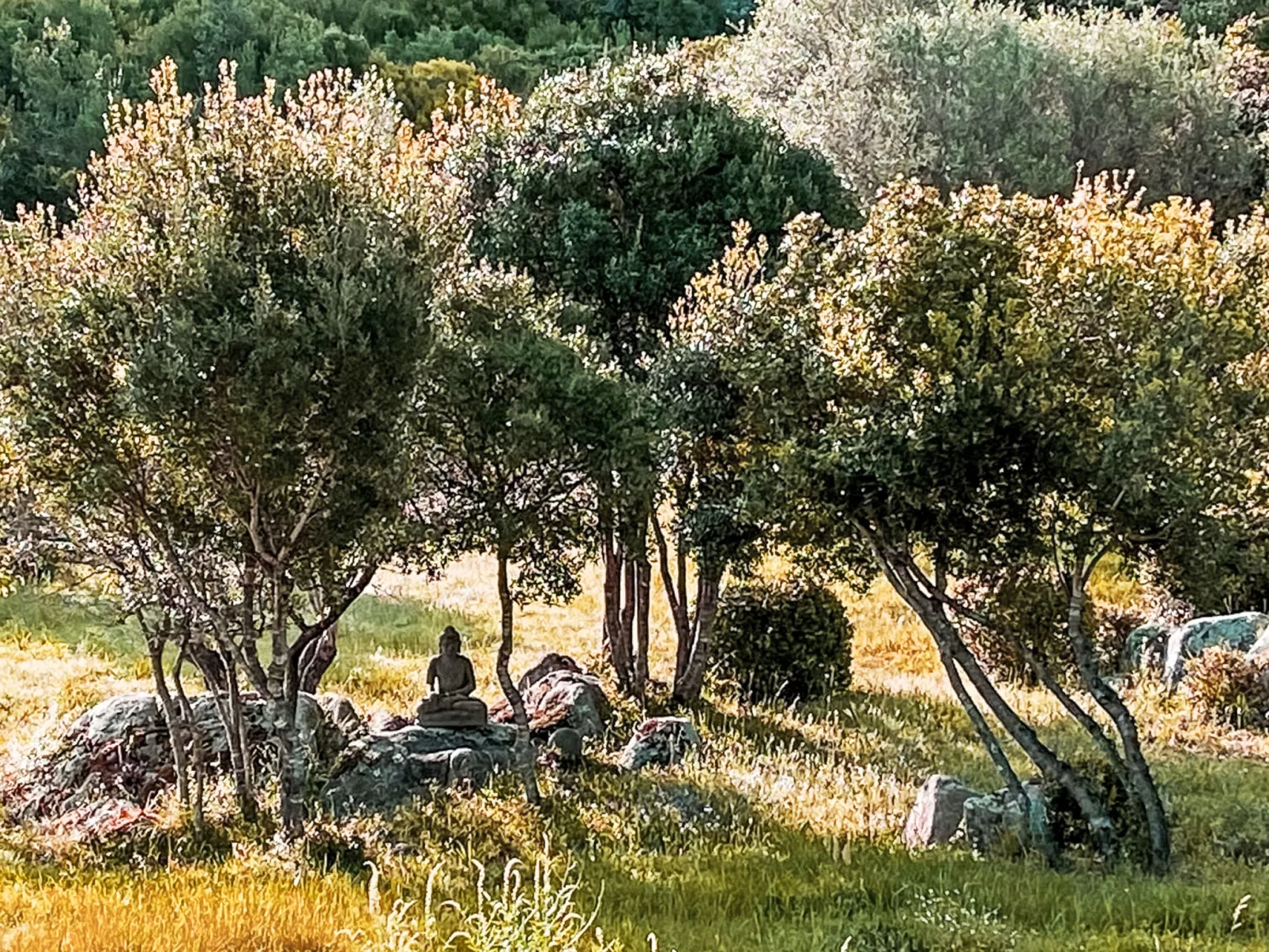 La Casetta Di Legno Nel Bosco - Draußen