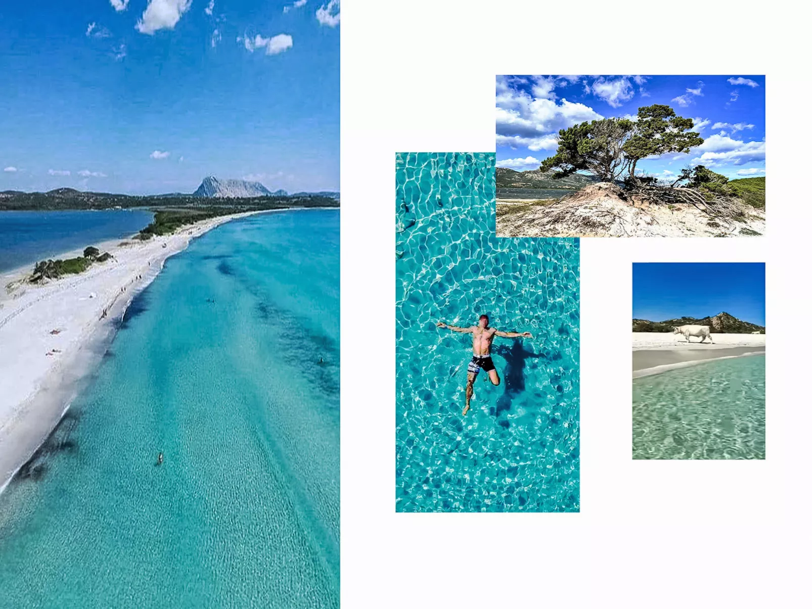 La Casetta Di Legno Nel Bosco - Drinnen