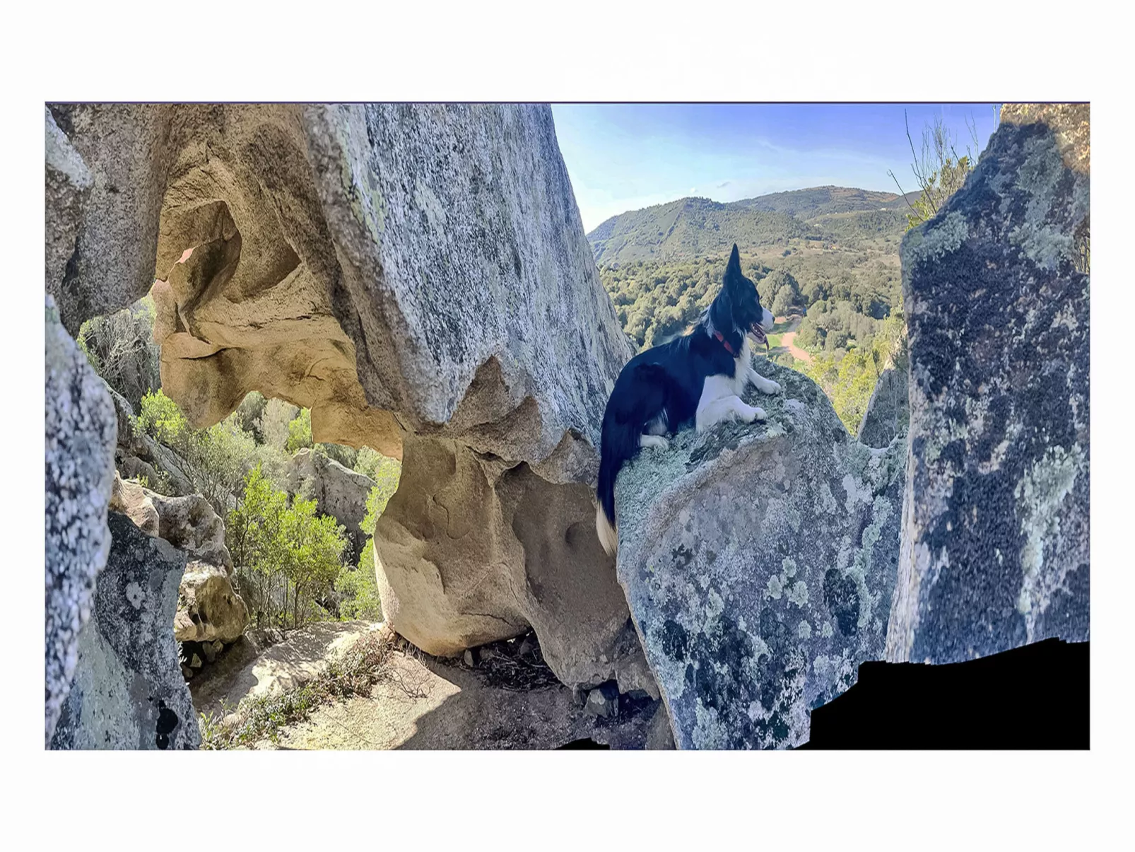 La Casetta Di Legno Nel Bosco - Drinnen
