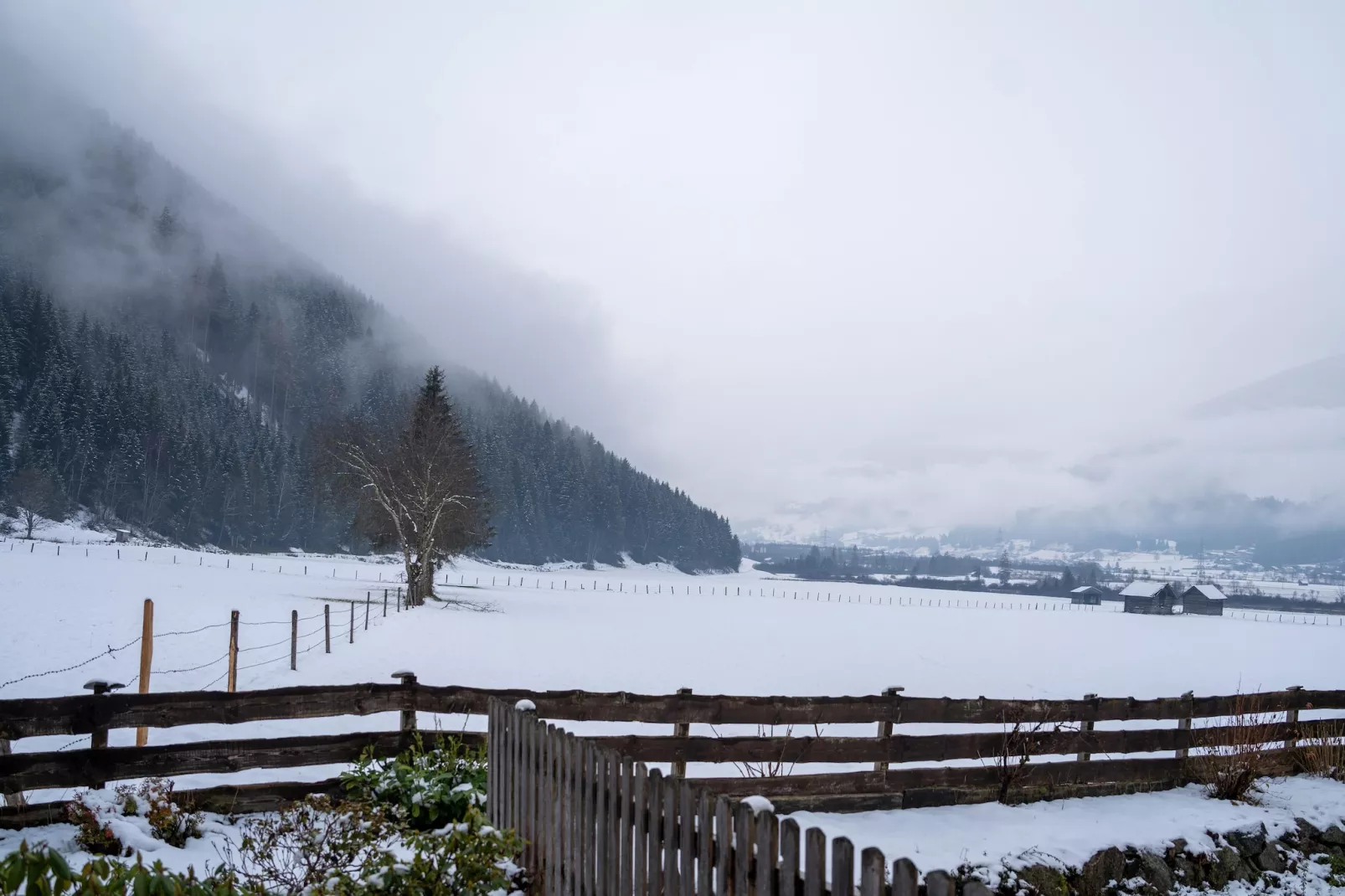 Apartment 1 / Hollersbach - Zones hiver à 1 km