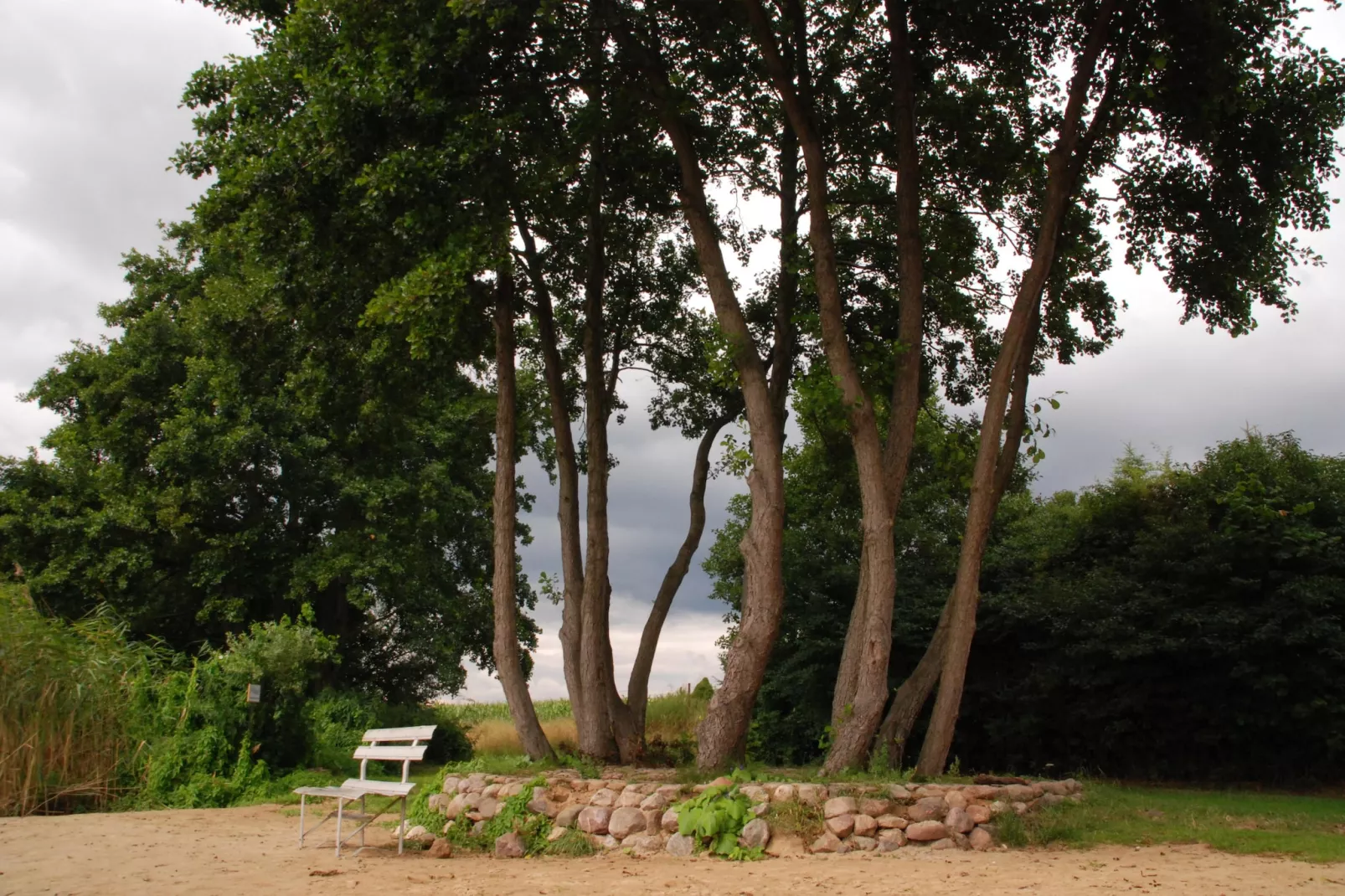 Mobilheim mit 2 Schlafzimmern bis 4 Personen - Jardins en été