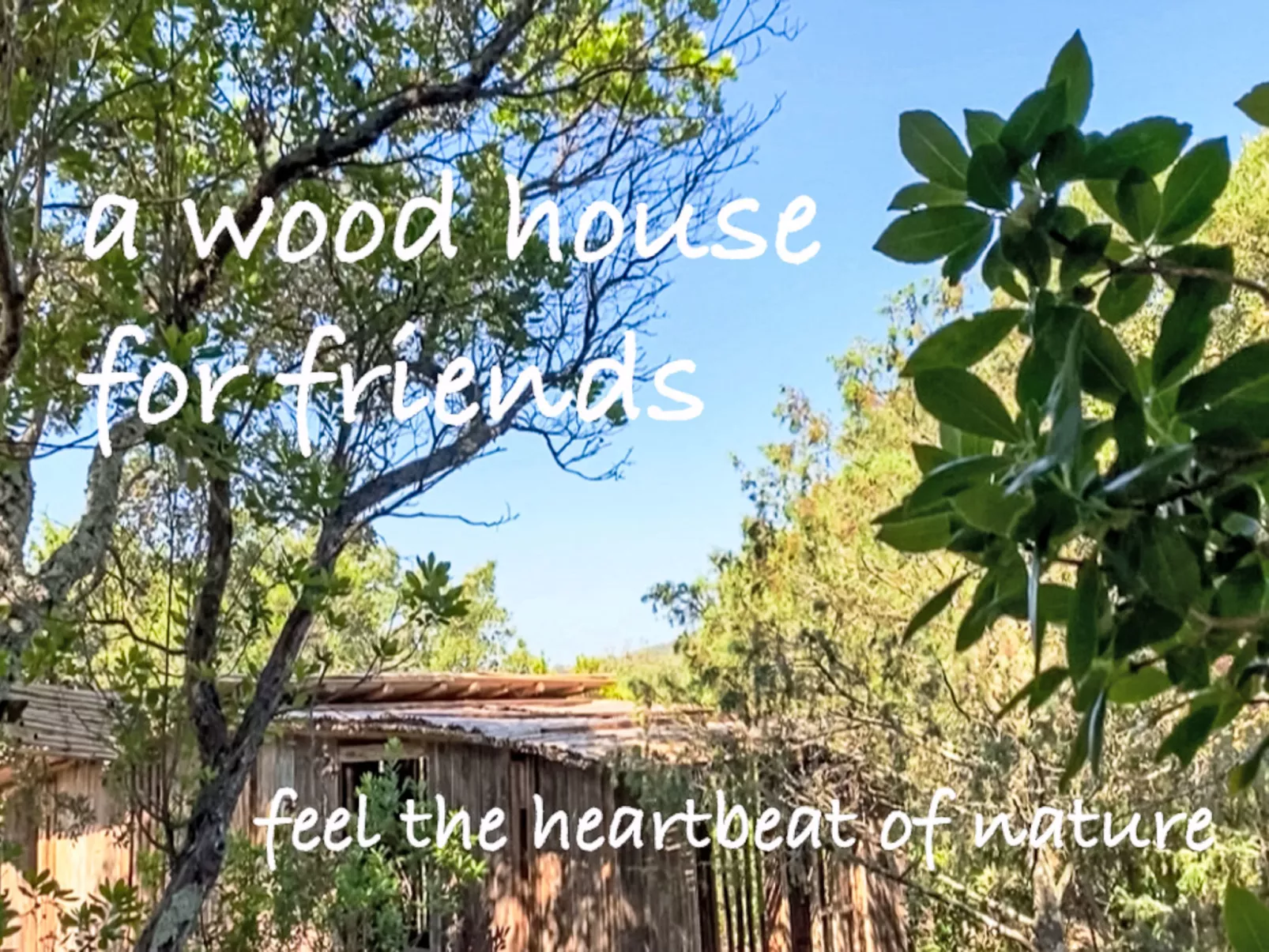 La Casetta Di Legno Nel Bosco - Draußen