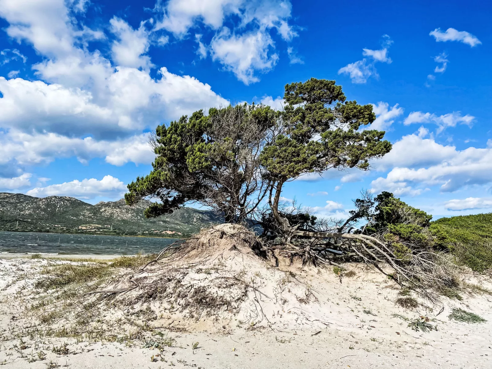 La Casetta Di Legno Nel Bosco - Drinnen