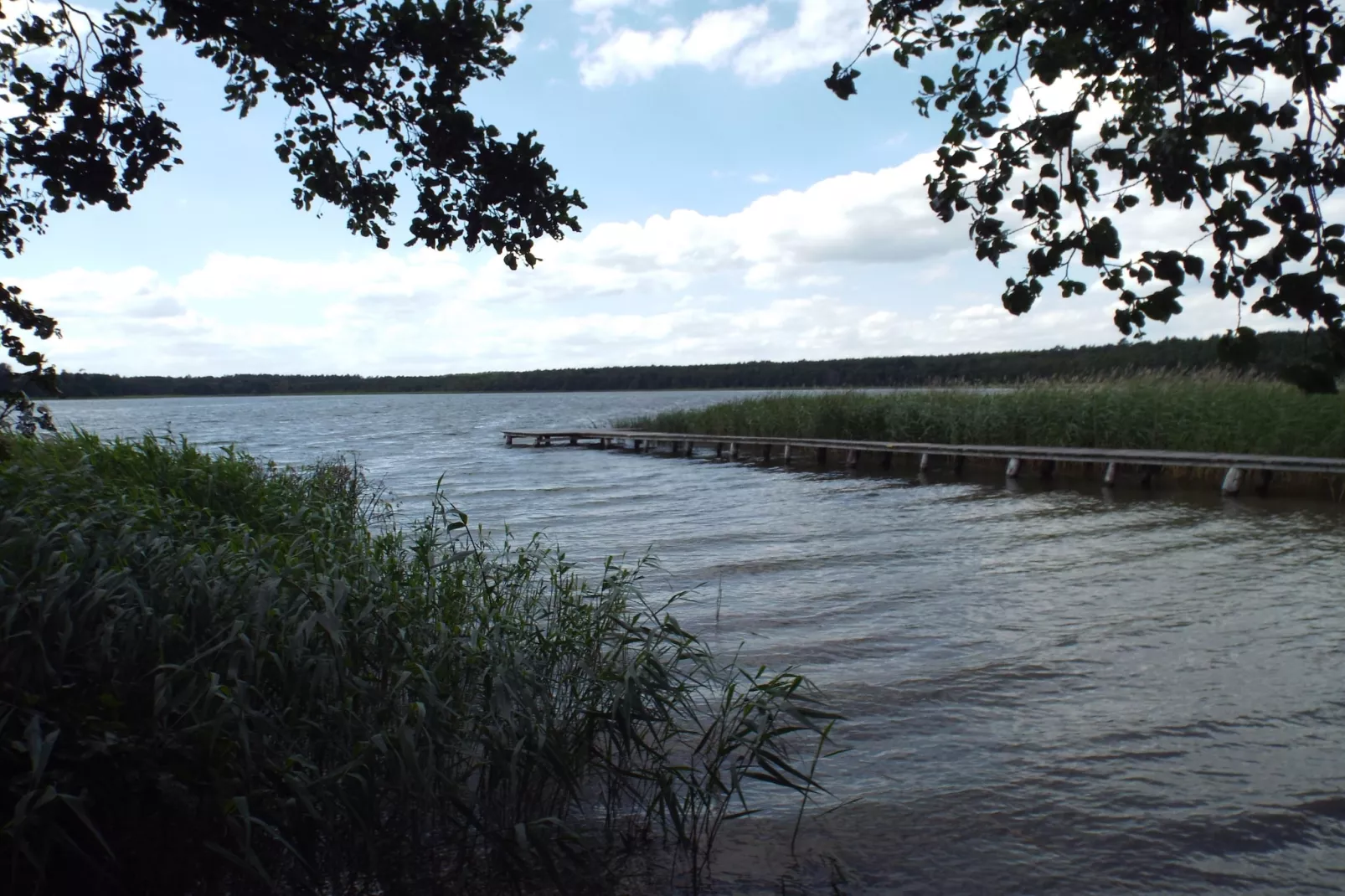 Bungalow Schlowe Am See 4 P - Zones été à 1 km