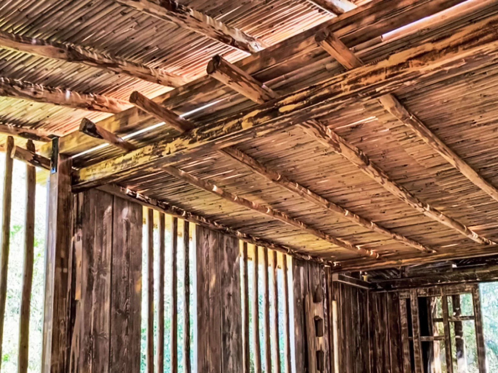 La Casetta Di Legno Nel Bosco - Draußen
