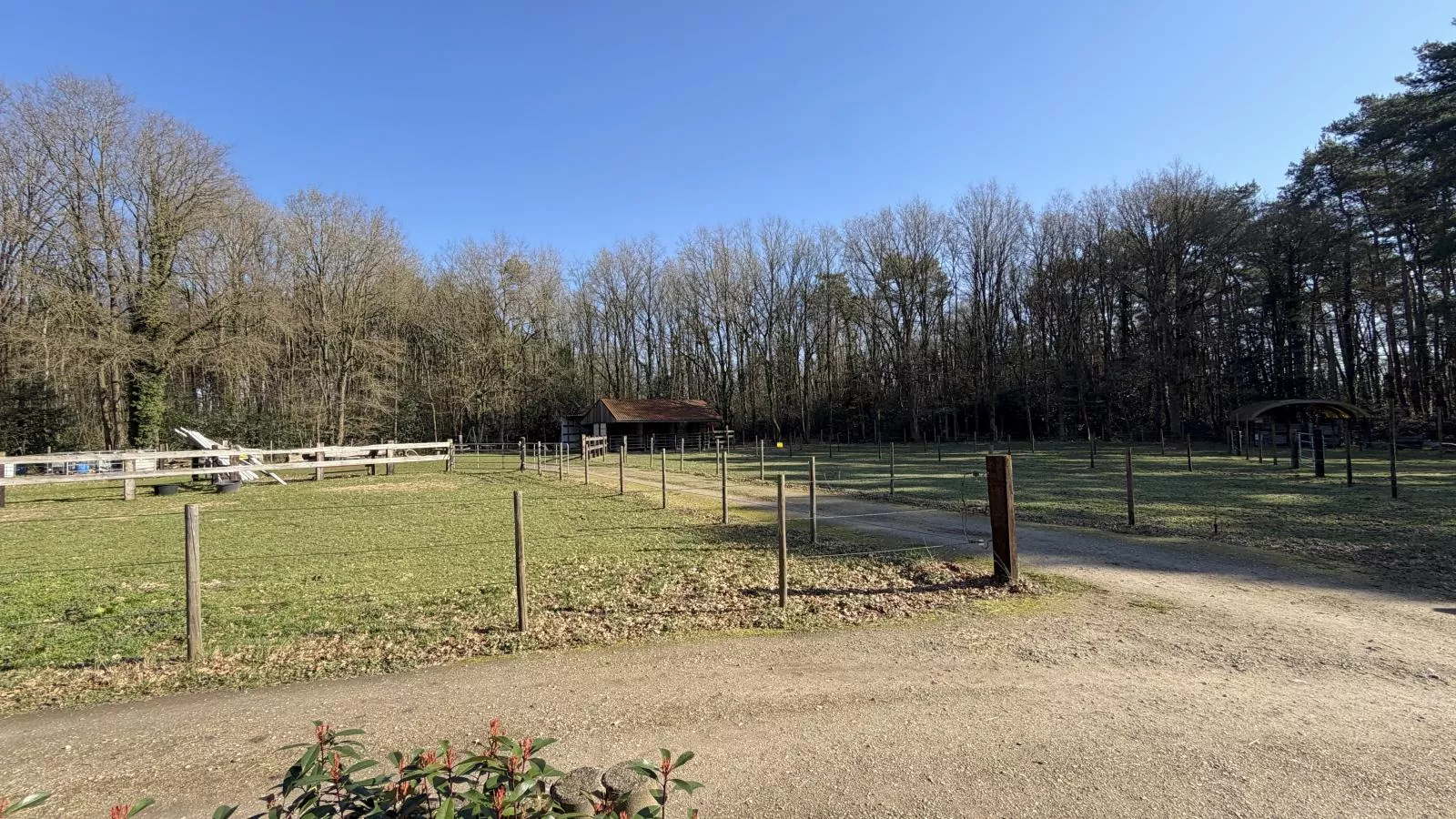 Huus 16 - Garten Sommer