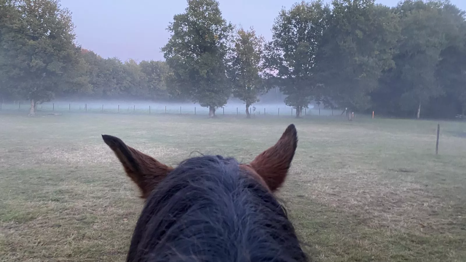 Huus 16 - Gebiete Sommer 1 km