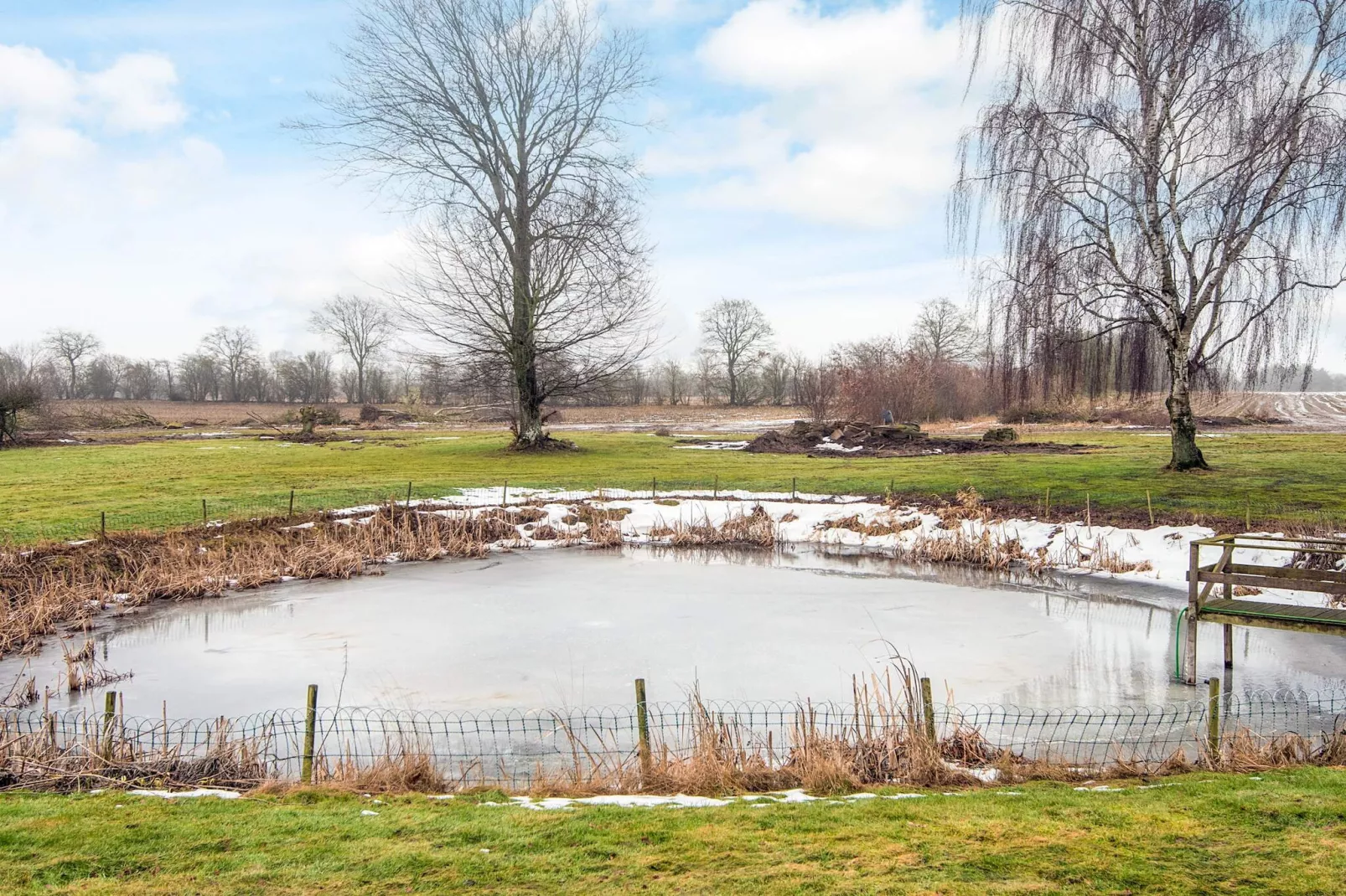 4 Sterne Ferienhaus in Allingåbro - Aussicht