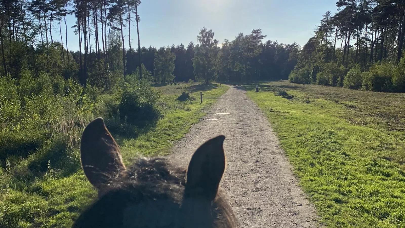 Huus 16 - Gebiete Sommer 1 km