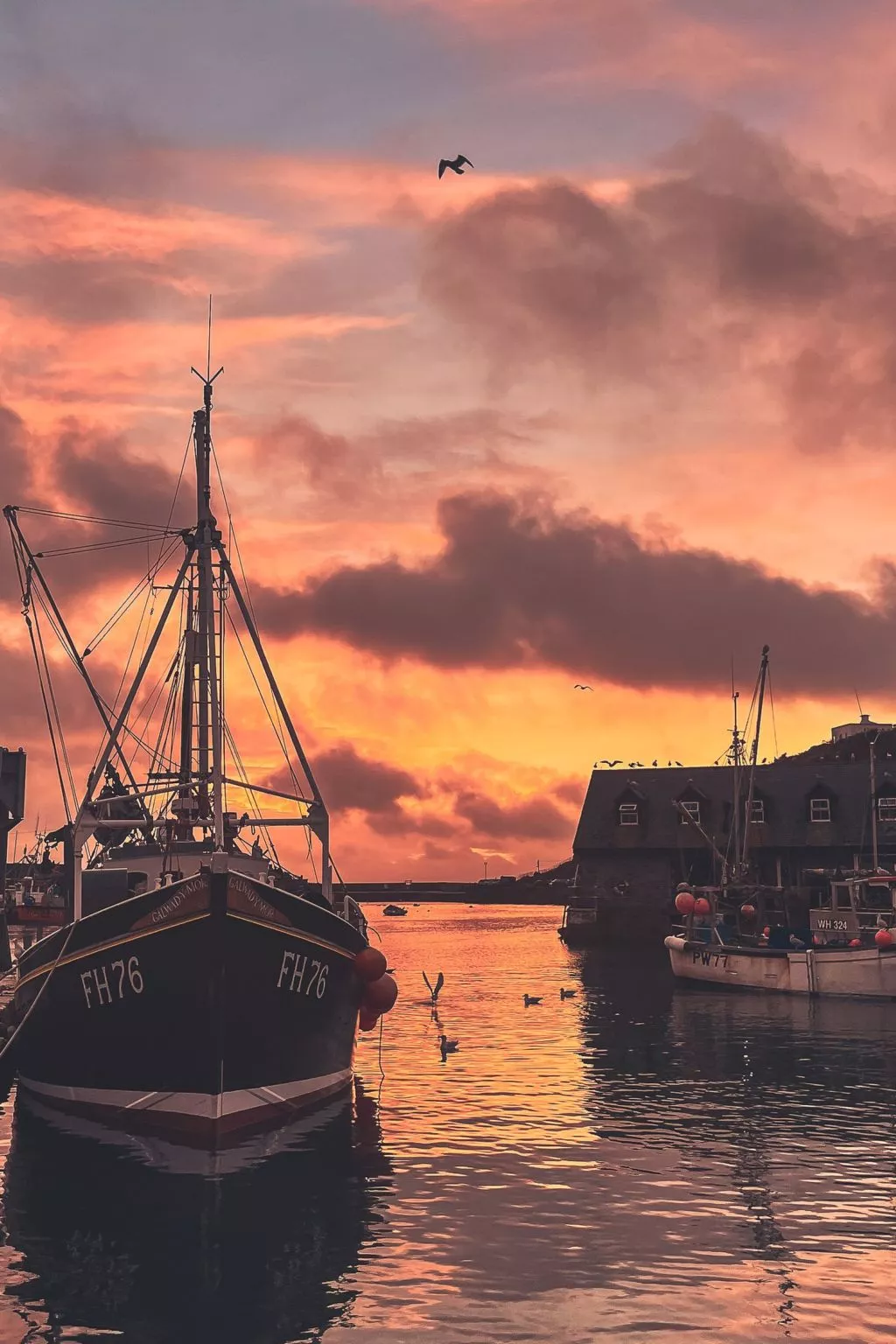 Dock of the bay - Environnement
