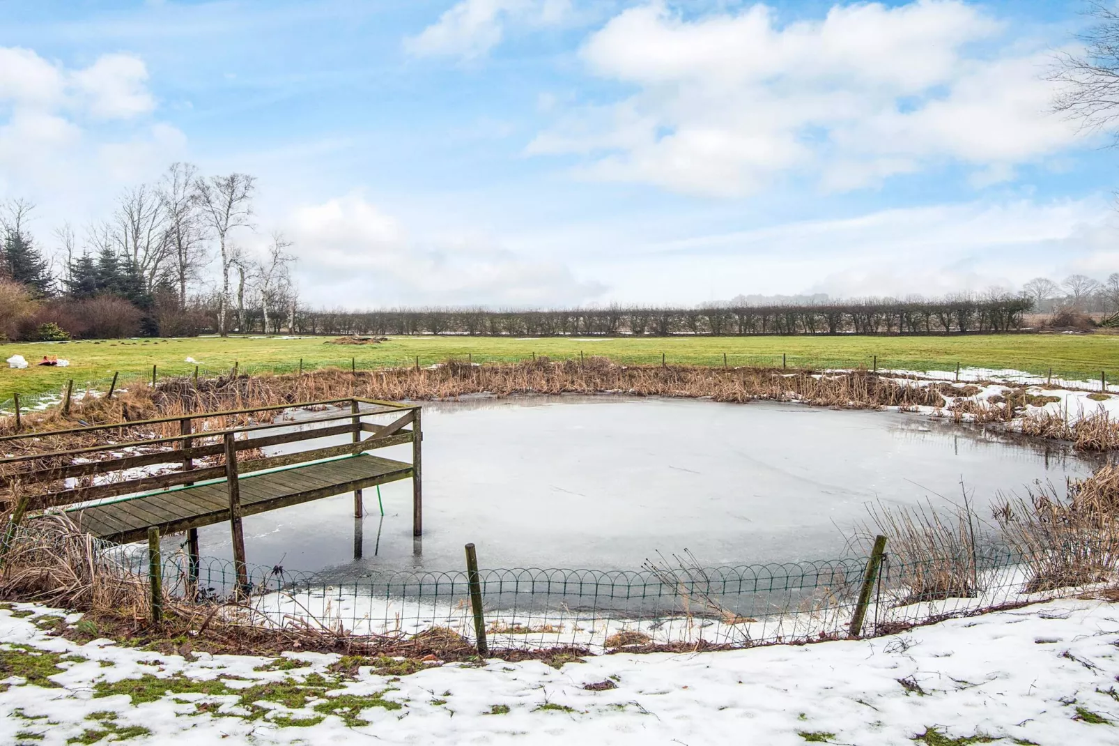 4 Sterne Ferienhaus in Allingåbro - Aussicht
