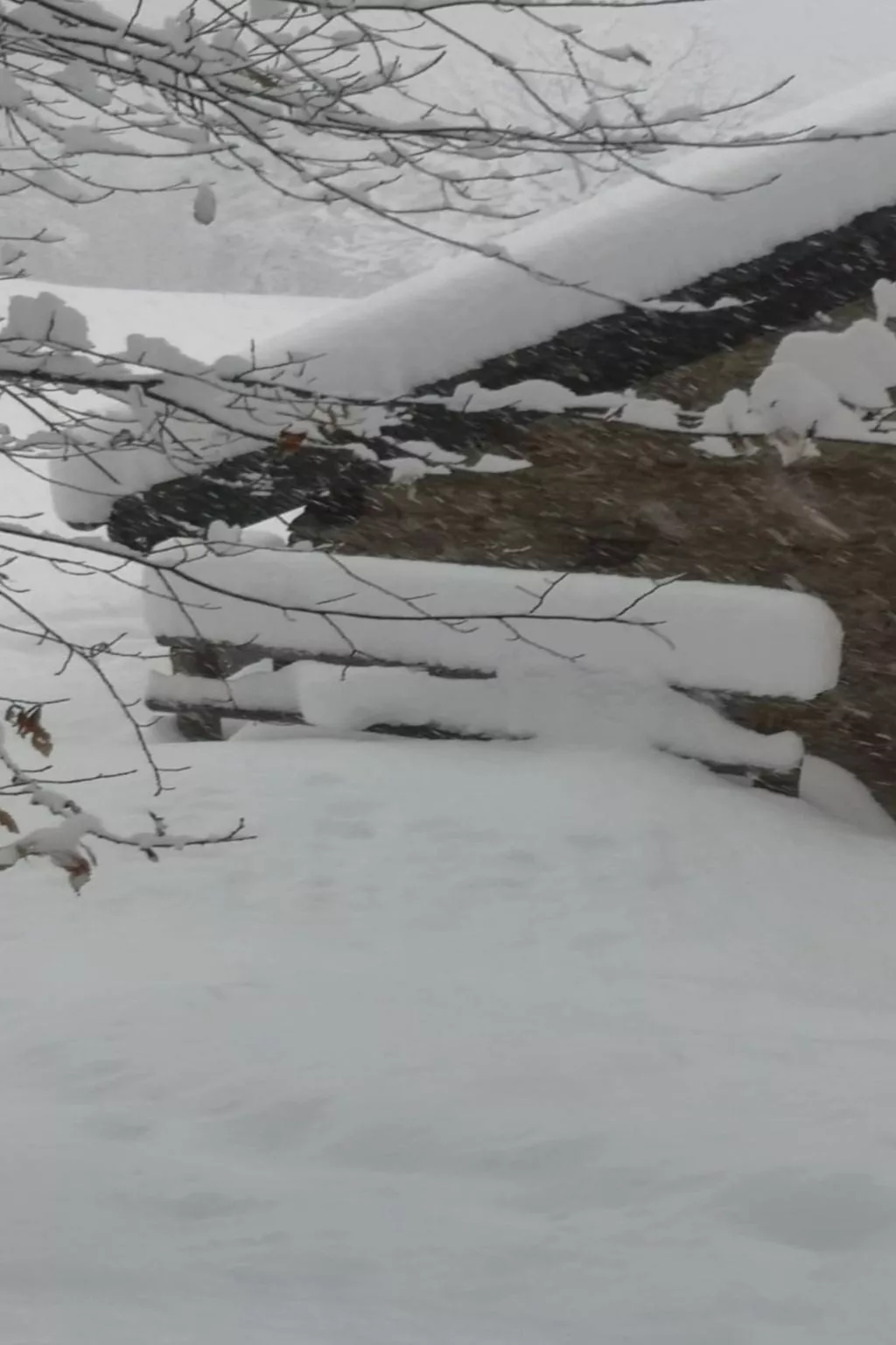 Rustico Raslina - Drinnen