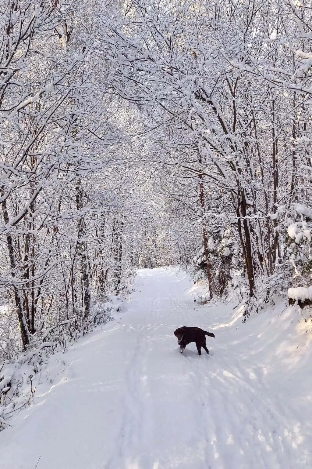 Rustico Raslina - Drinnen