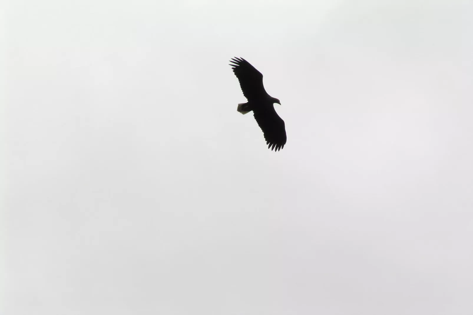 Mobilheim mit 2 Schlafzimmern bis 4 Personen - Installations du parc