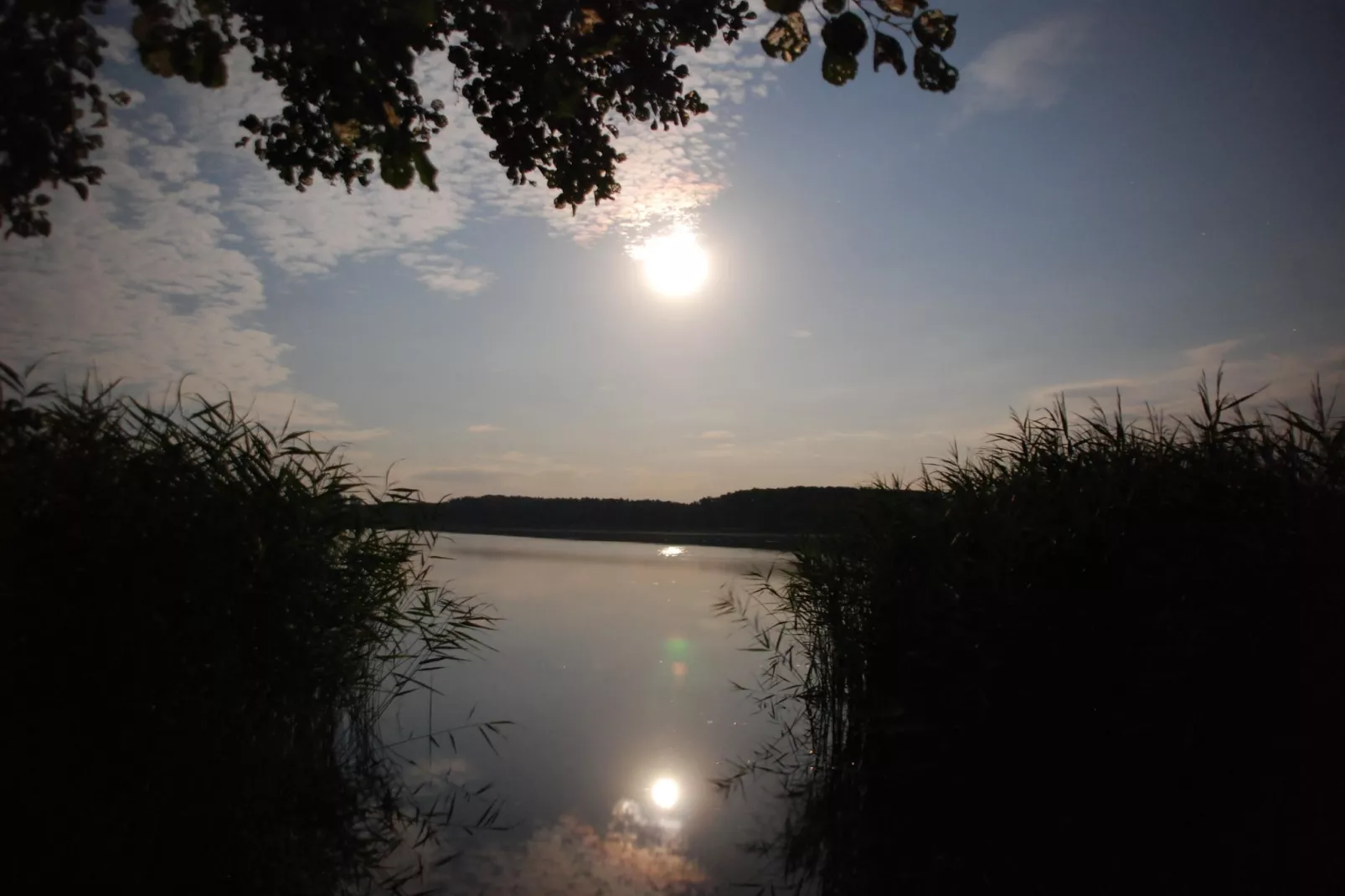 Mobilheim mit 2 Schlafzimmern bis 4 Personen - Installations du parc