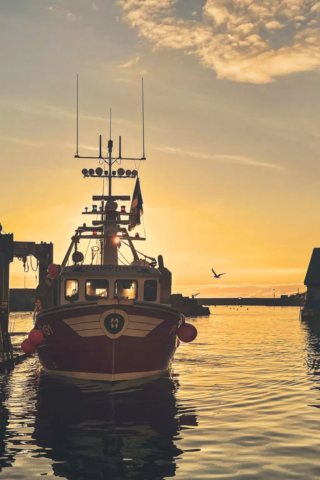 Dock of the bay - Environnement