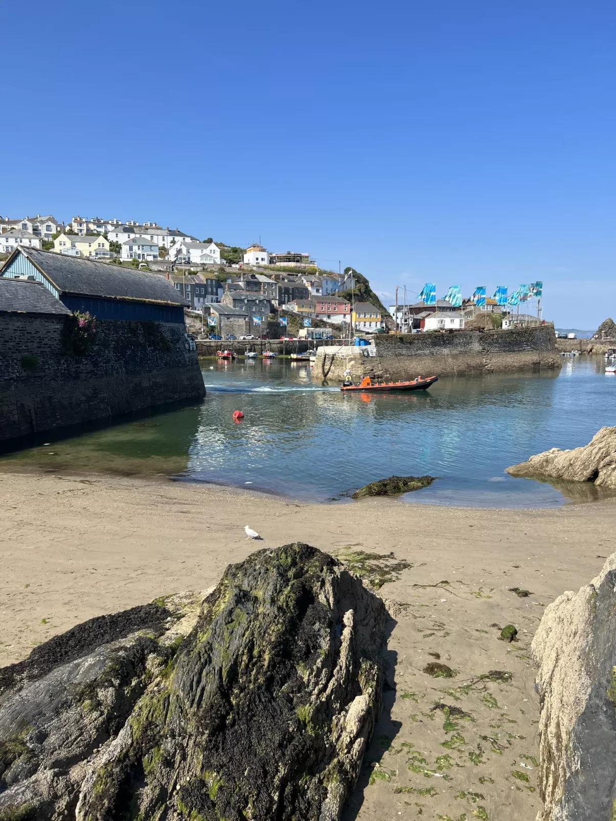 Dock of the bay - Environnement