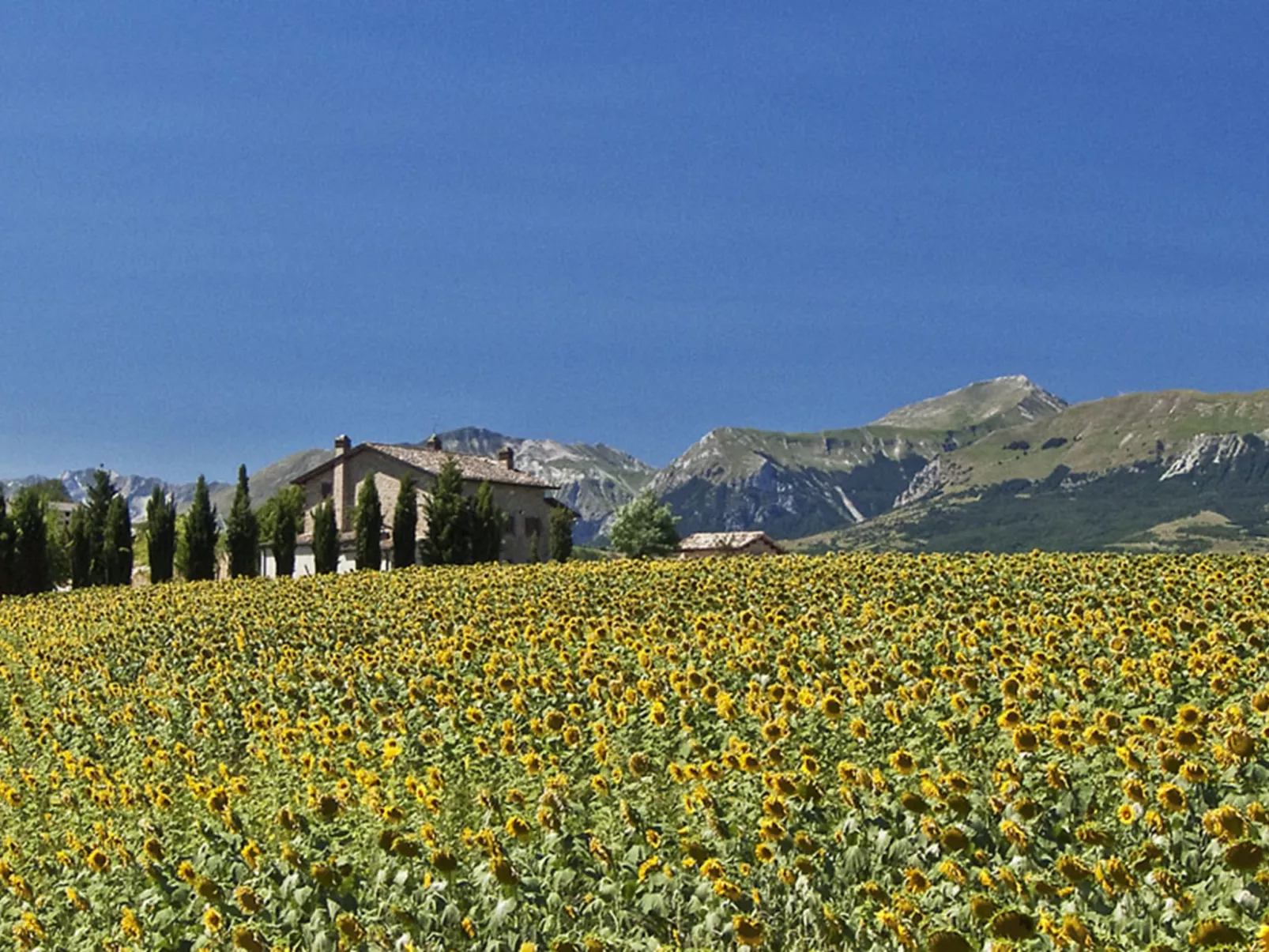 Il Casolare e il Fienile - Draußen