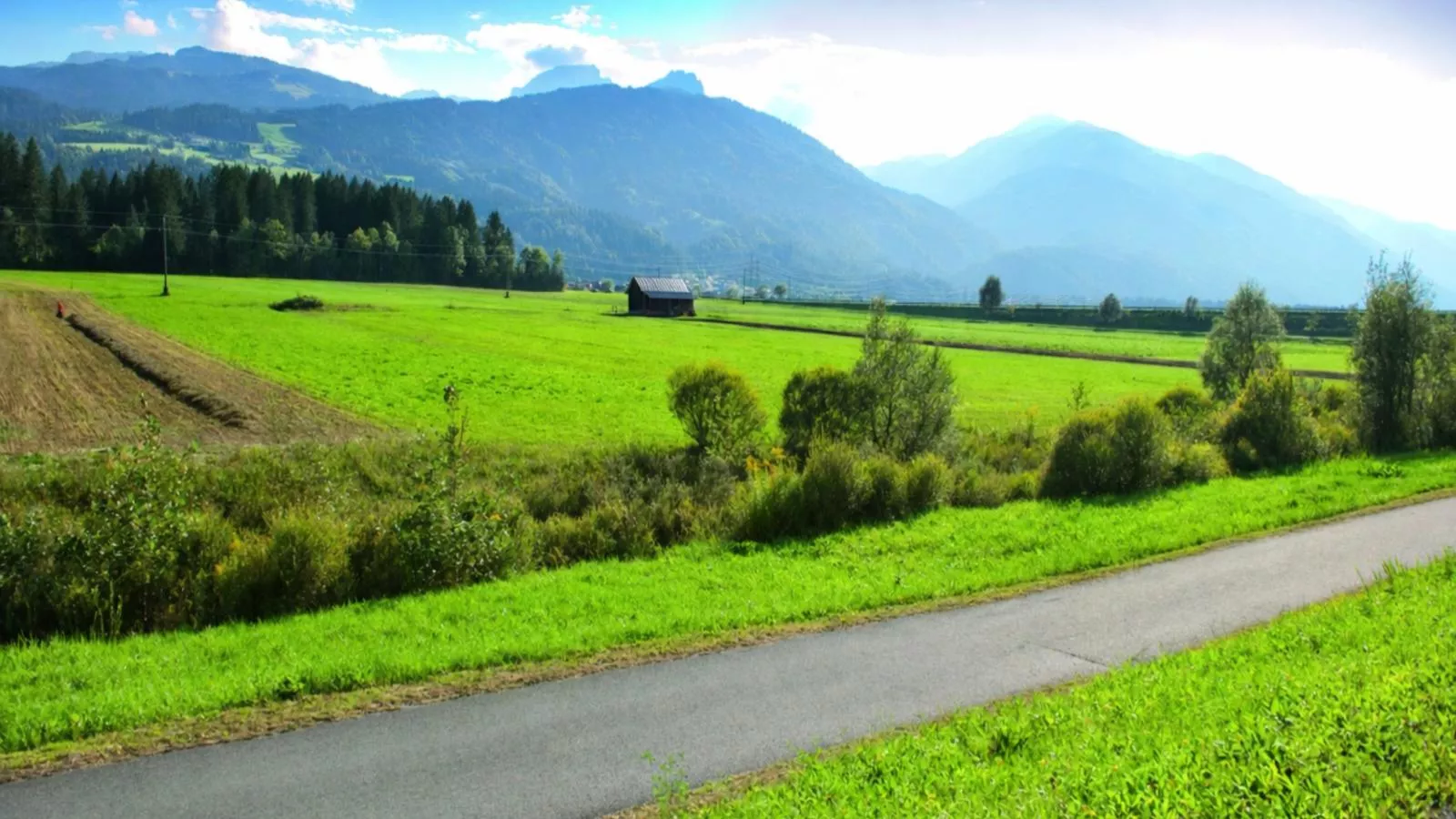 Kipaji 1 - Areas within 20km in summer