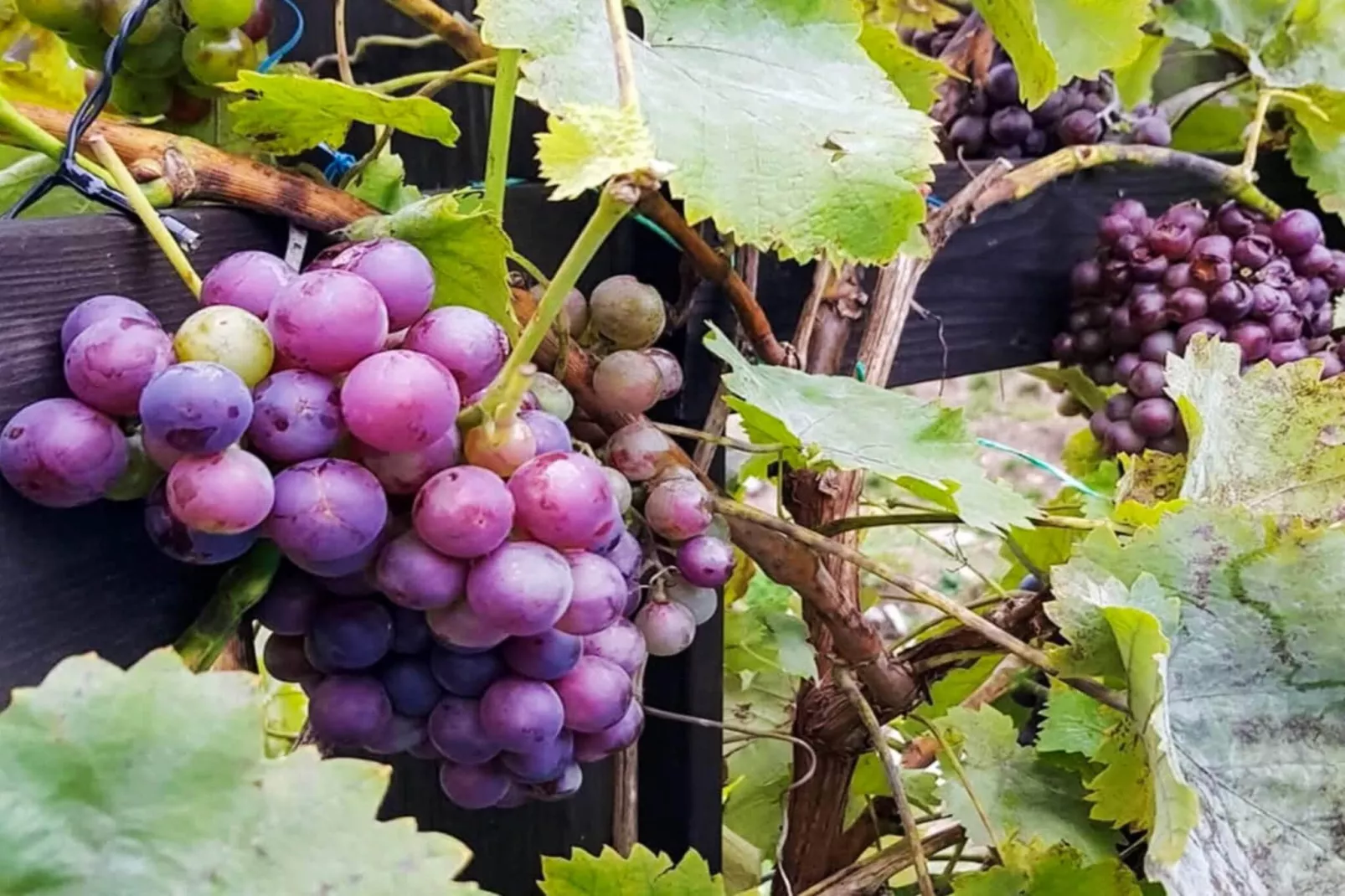 4 person holiday home in INGARÖ