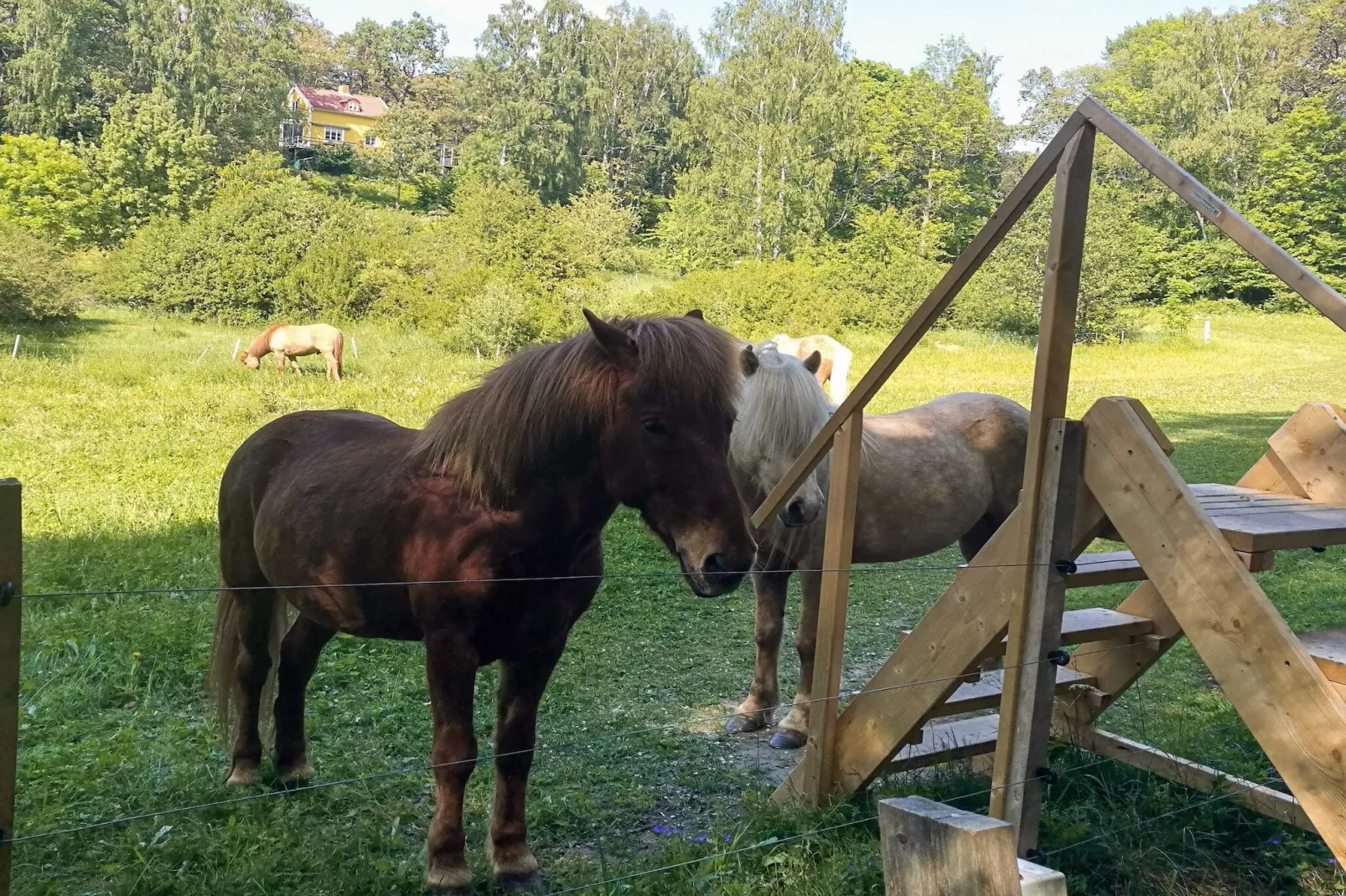 4 star holiday home in INGARÖ - Untagged