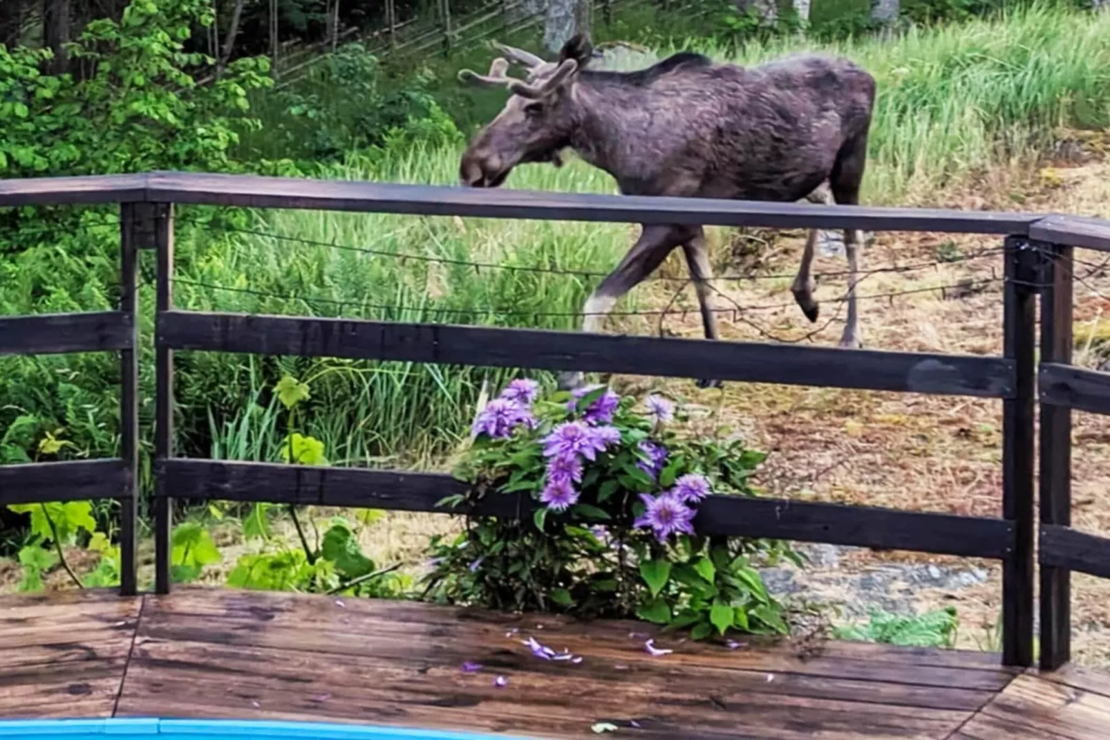 4 star holiday home in INGARÖ - Untagged