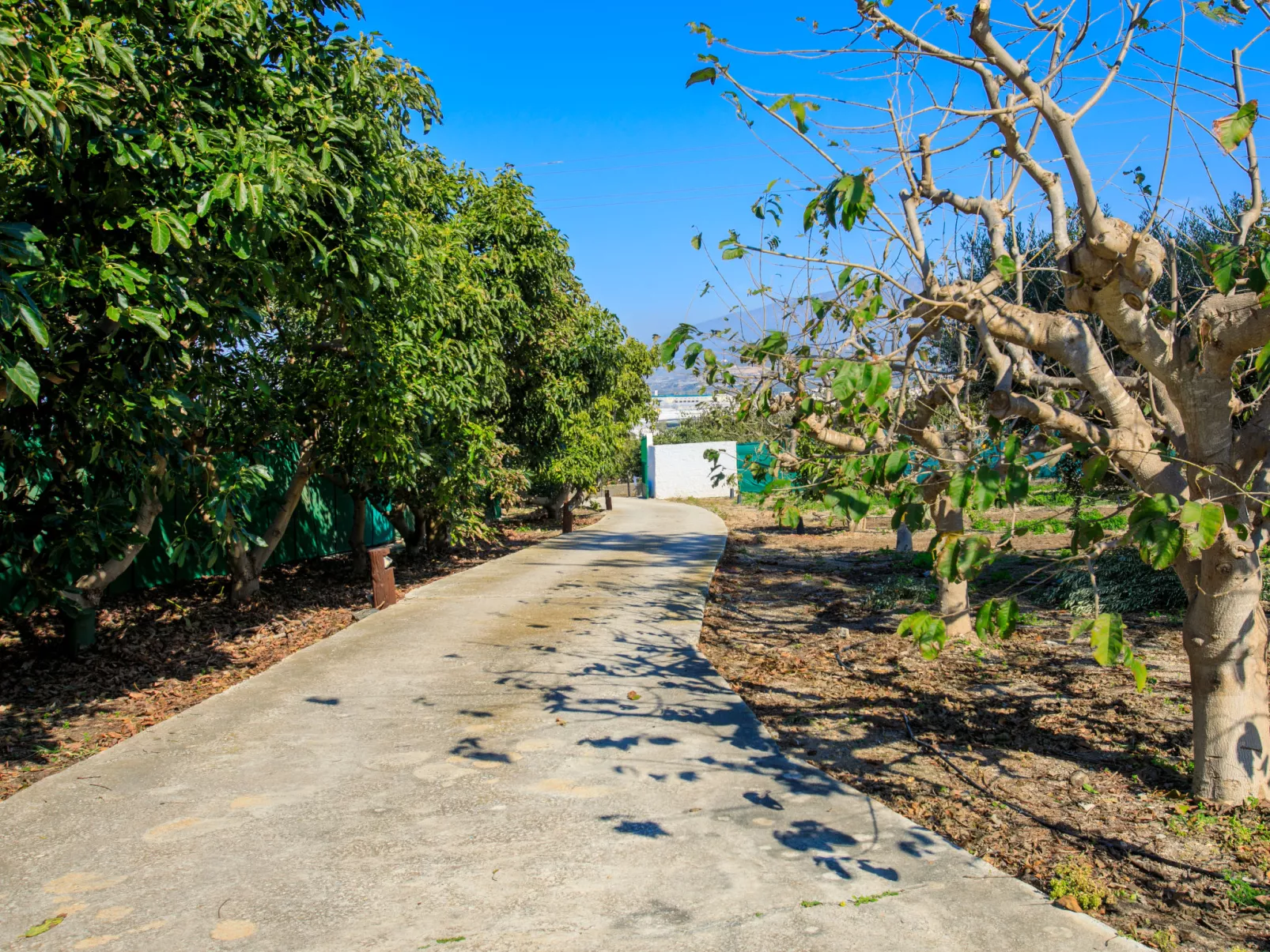 Villa Estévez - Draußen