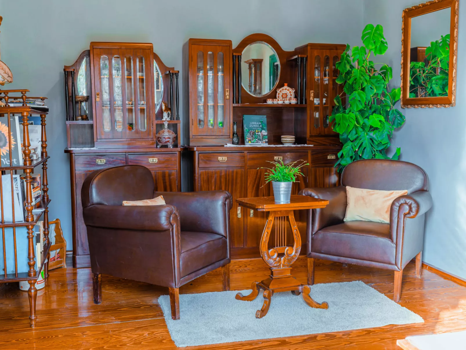 House Biljkinog oca - Dedans