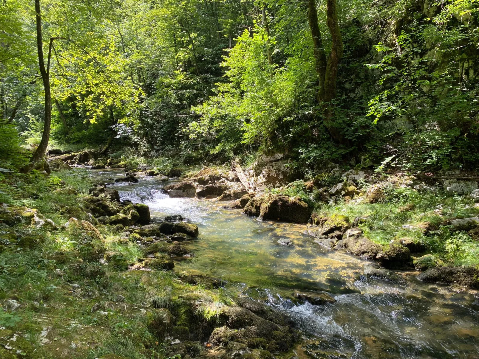 House Veles - Umgebung