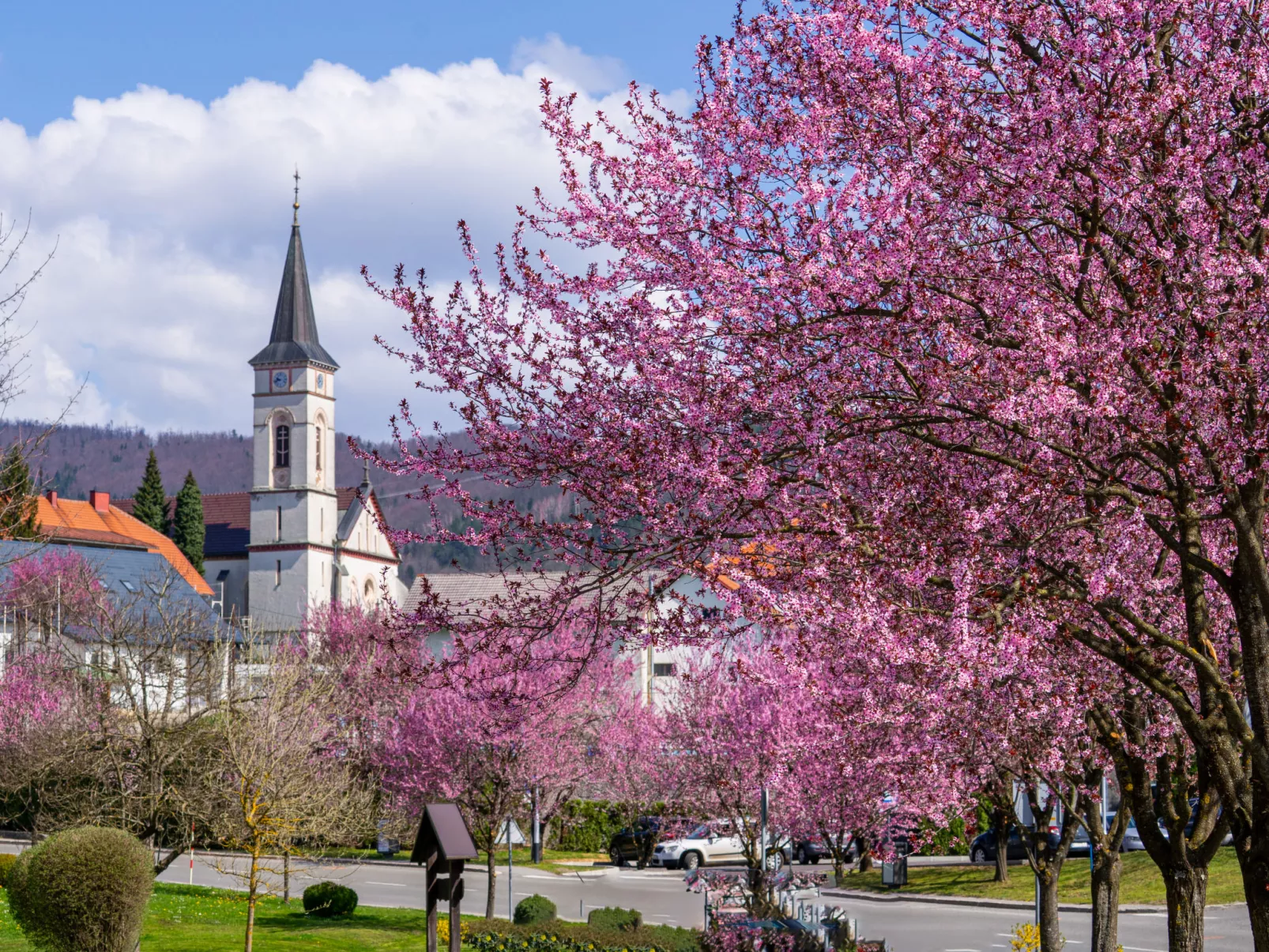 House Veles - Umgebung
