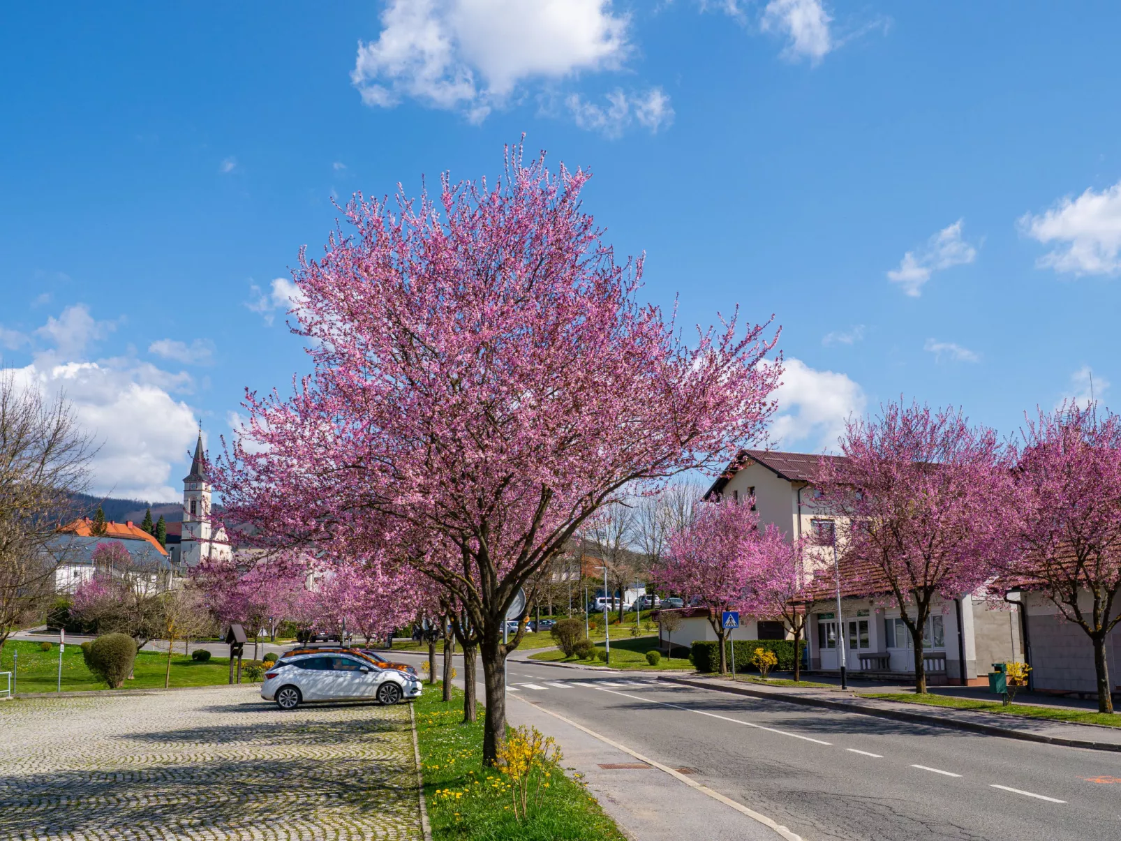 House Veles - Umgebung
