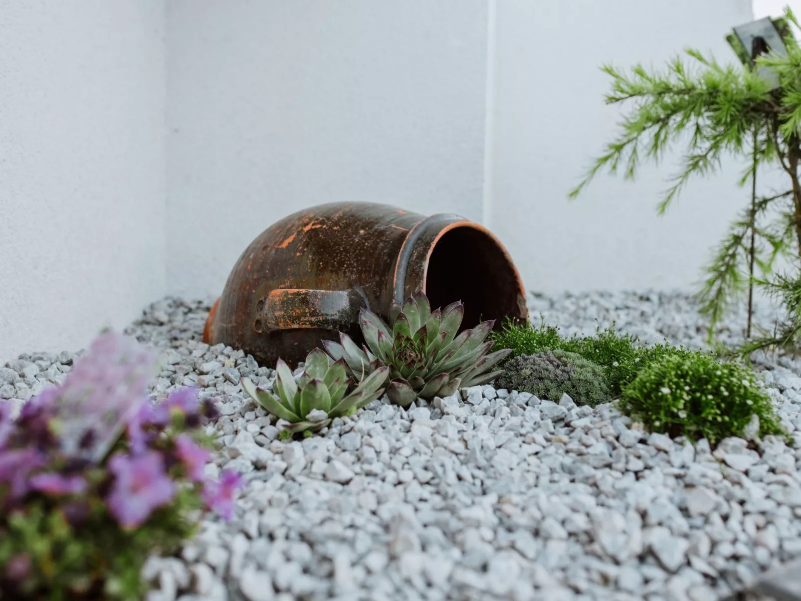 House The View - Outside