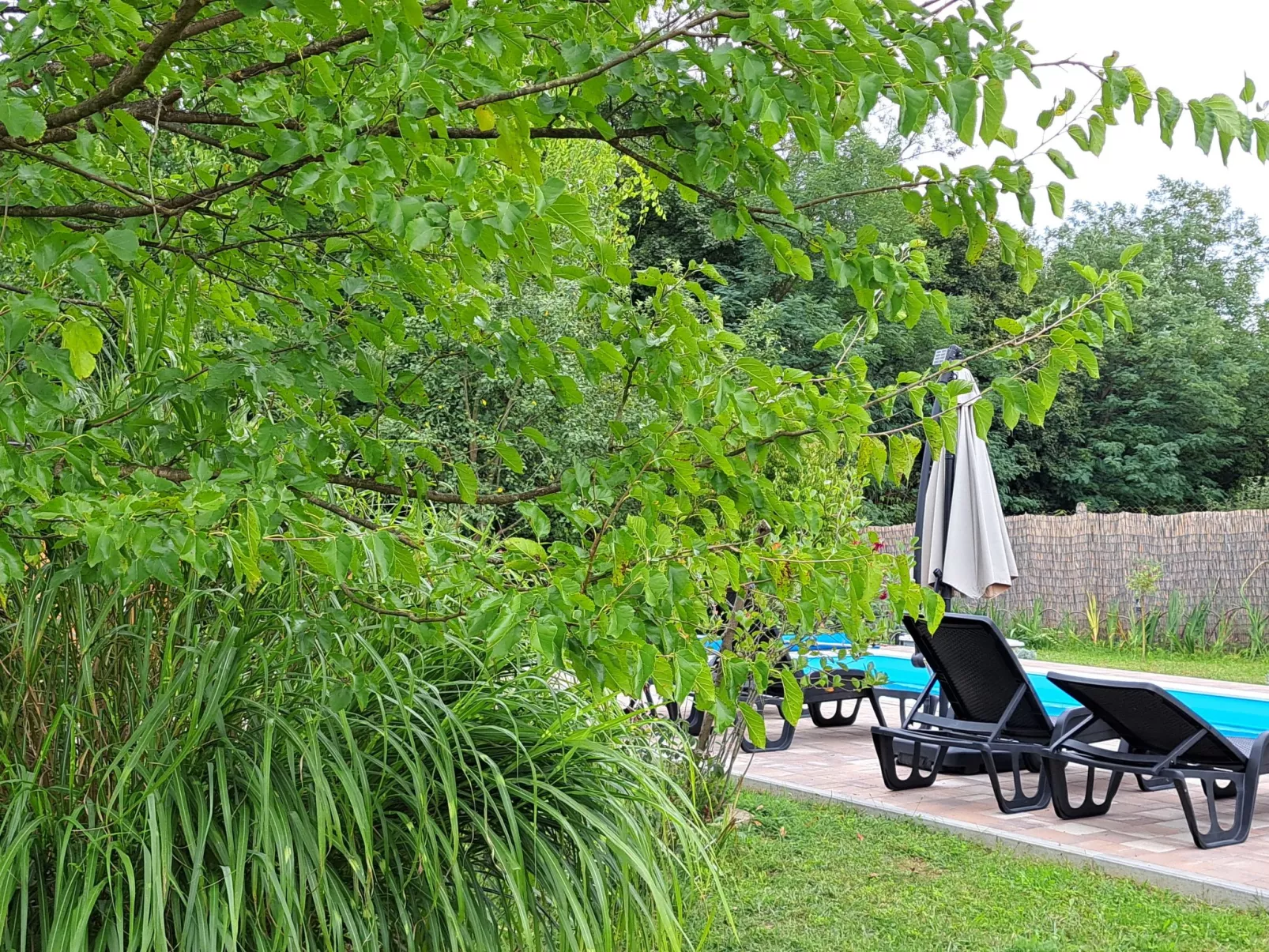 House Mirna Zagorka - Dehors