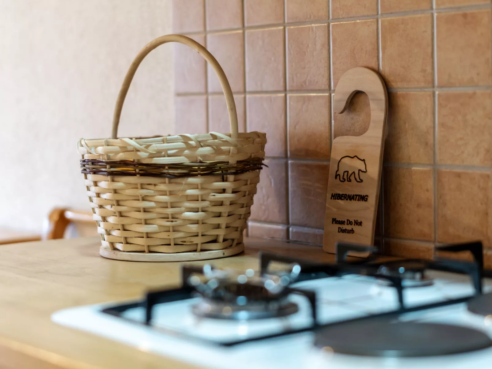 Pansion Seosko domaćinstvo Butina - Drinnen