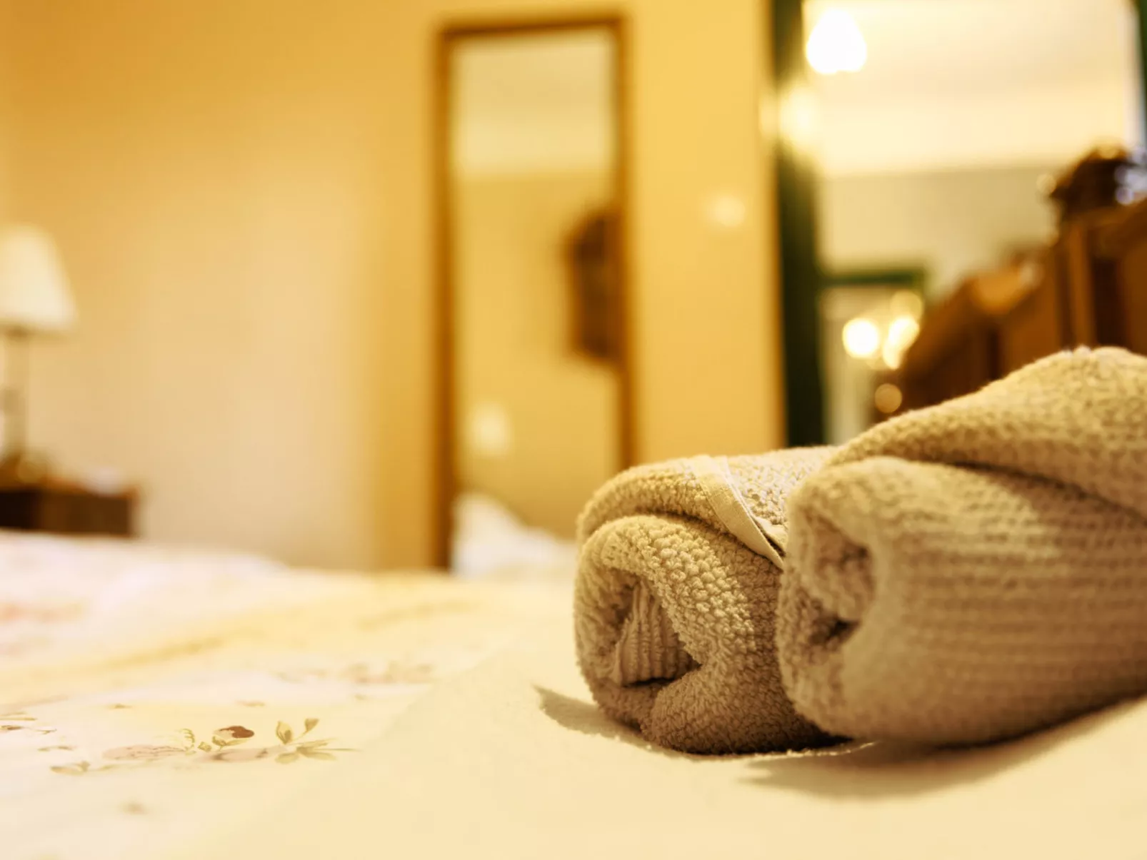 House Biljkinog oca - Dedans