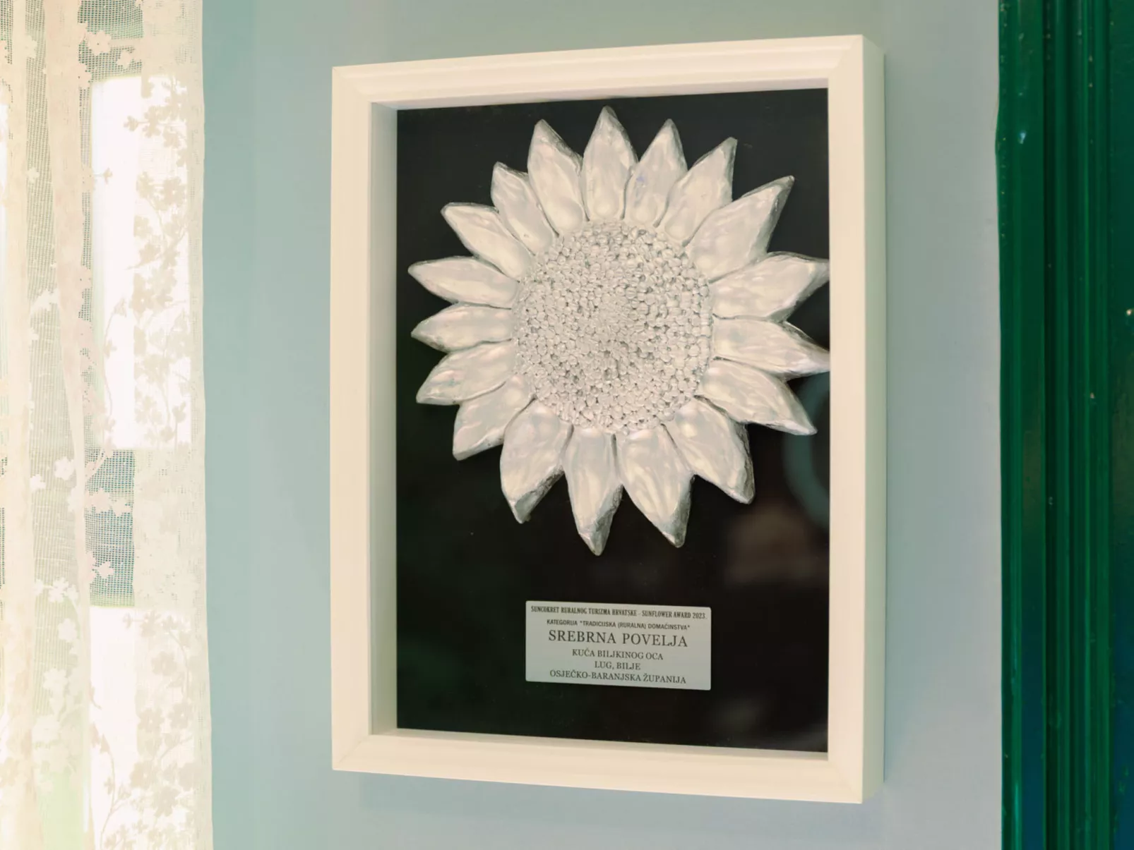 House Biljkinog oca - Dehors