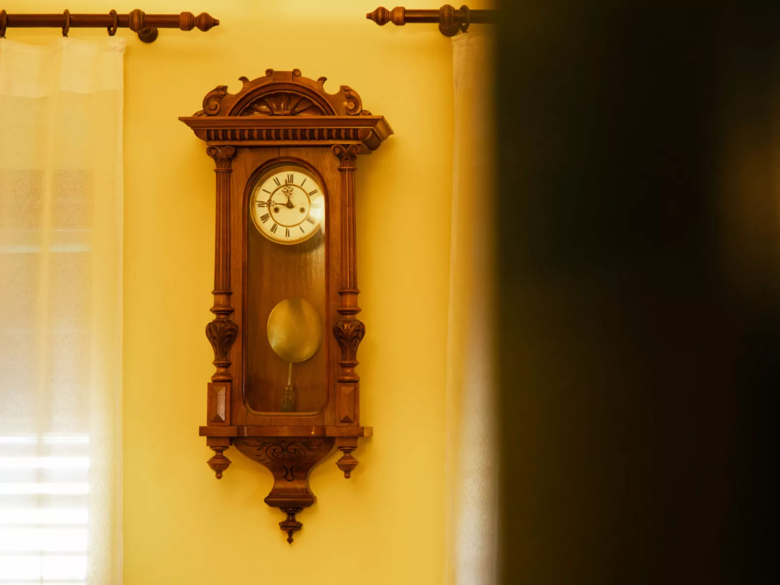 House Biljkinog oca - Dedans