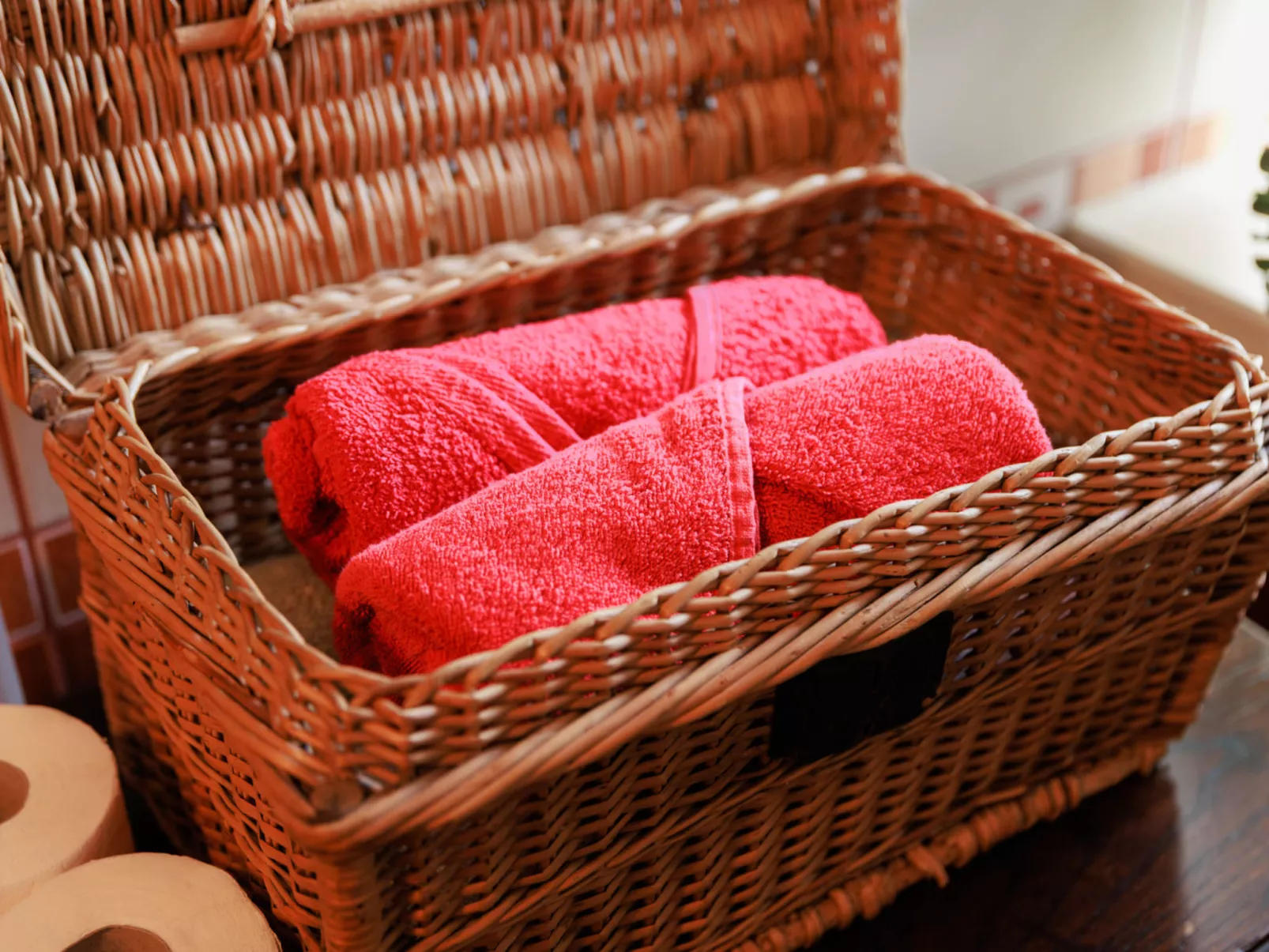 House Biljkinog oca - Dehors